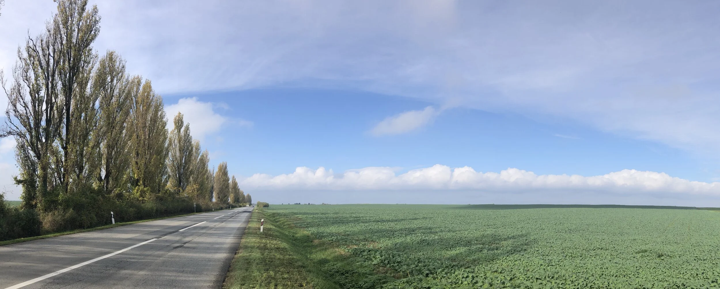The beautiful Slavonian countryside