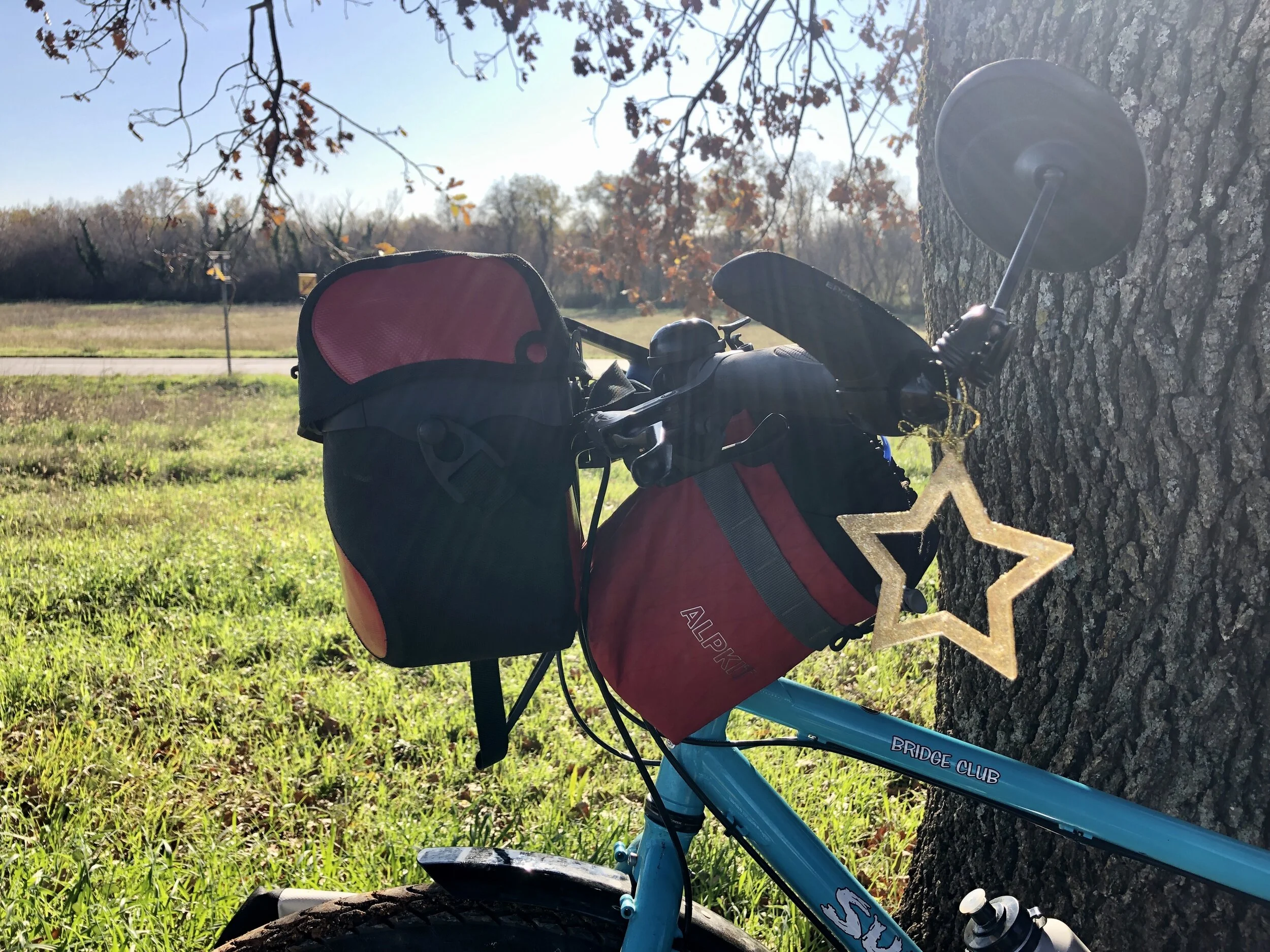 It's beginning to feel a lot like Christmas