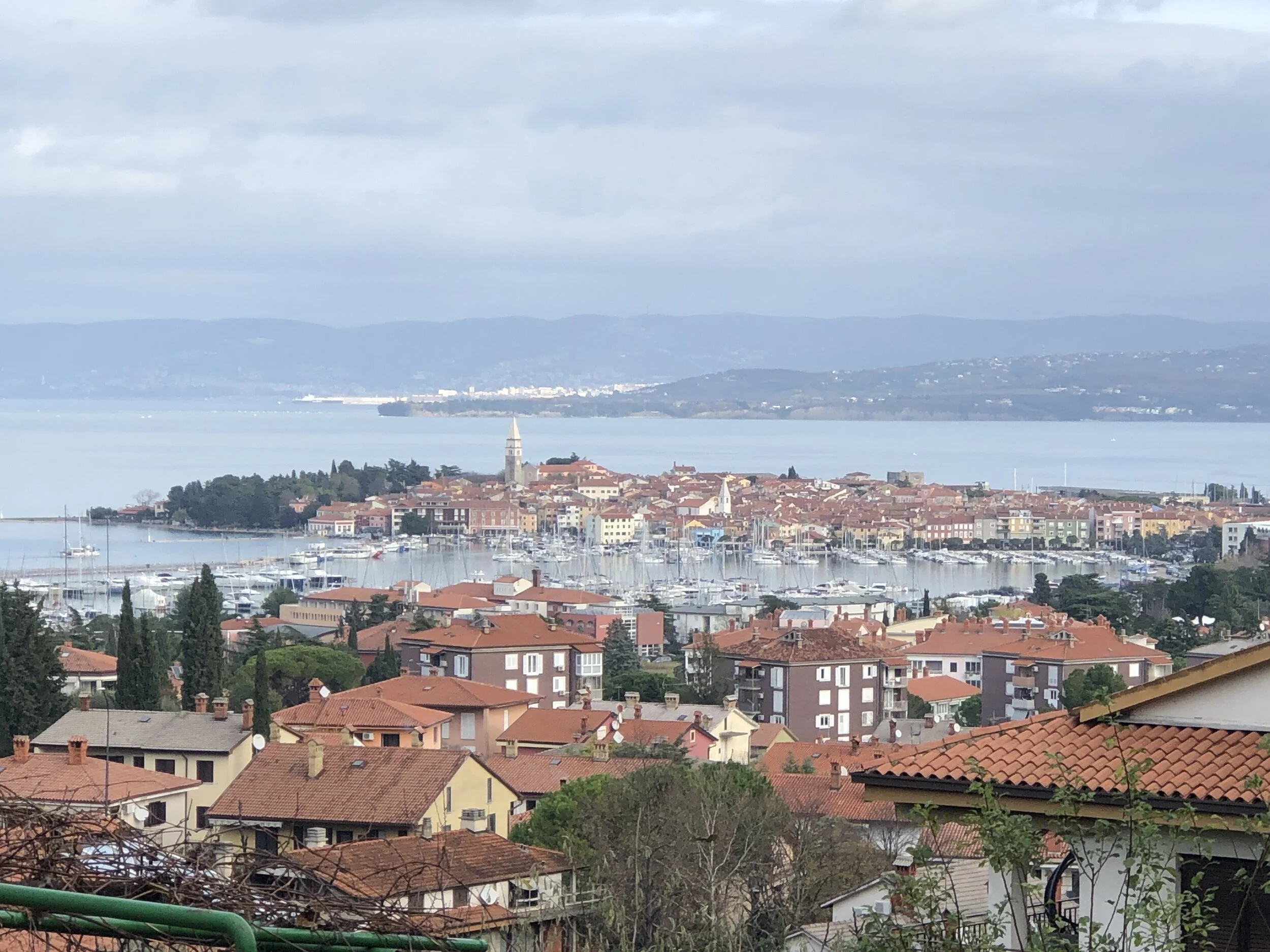 Izola