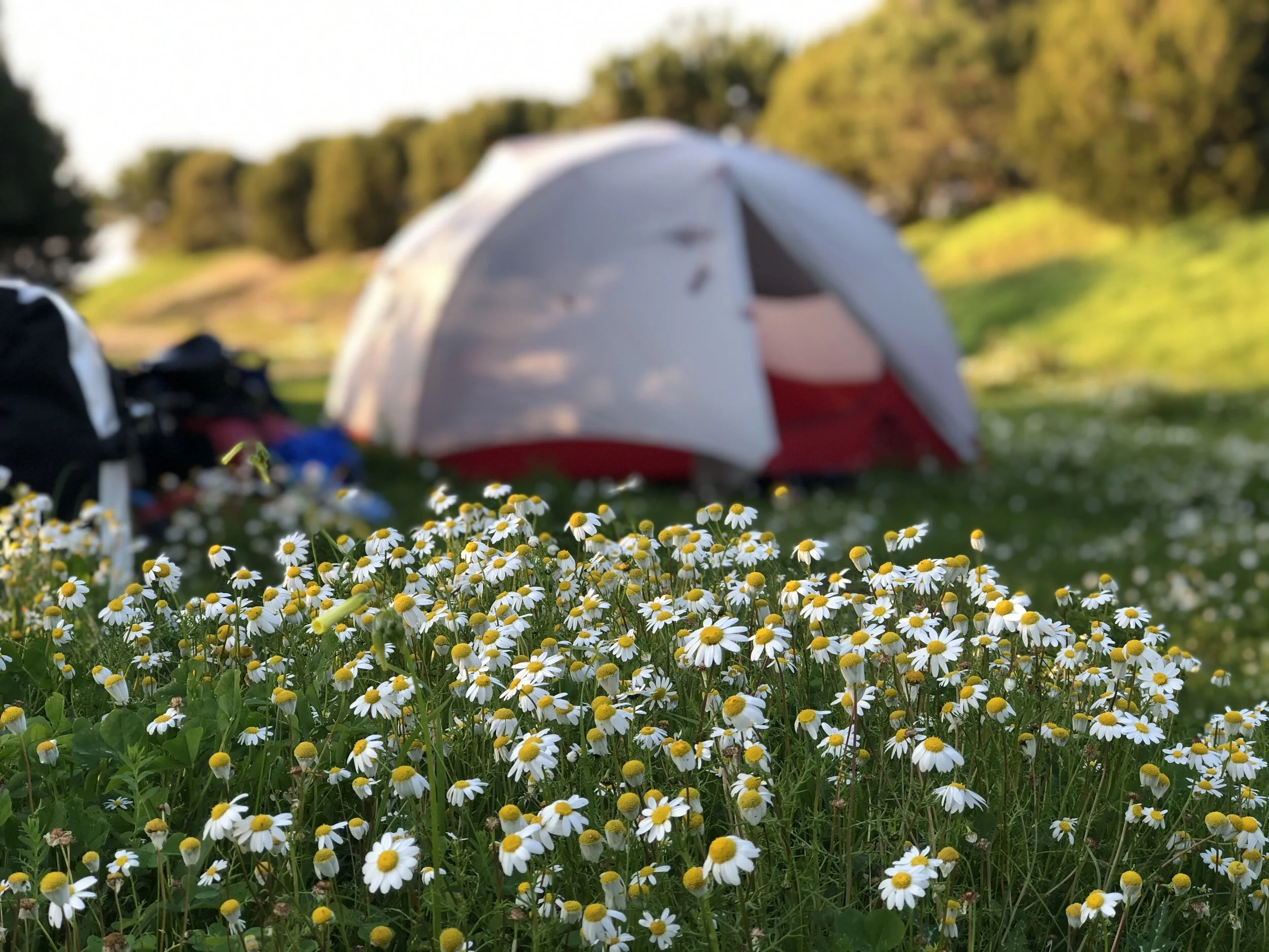 Camping near Porto Covo