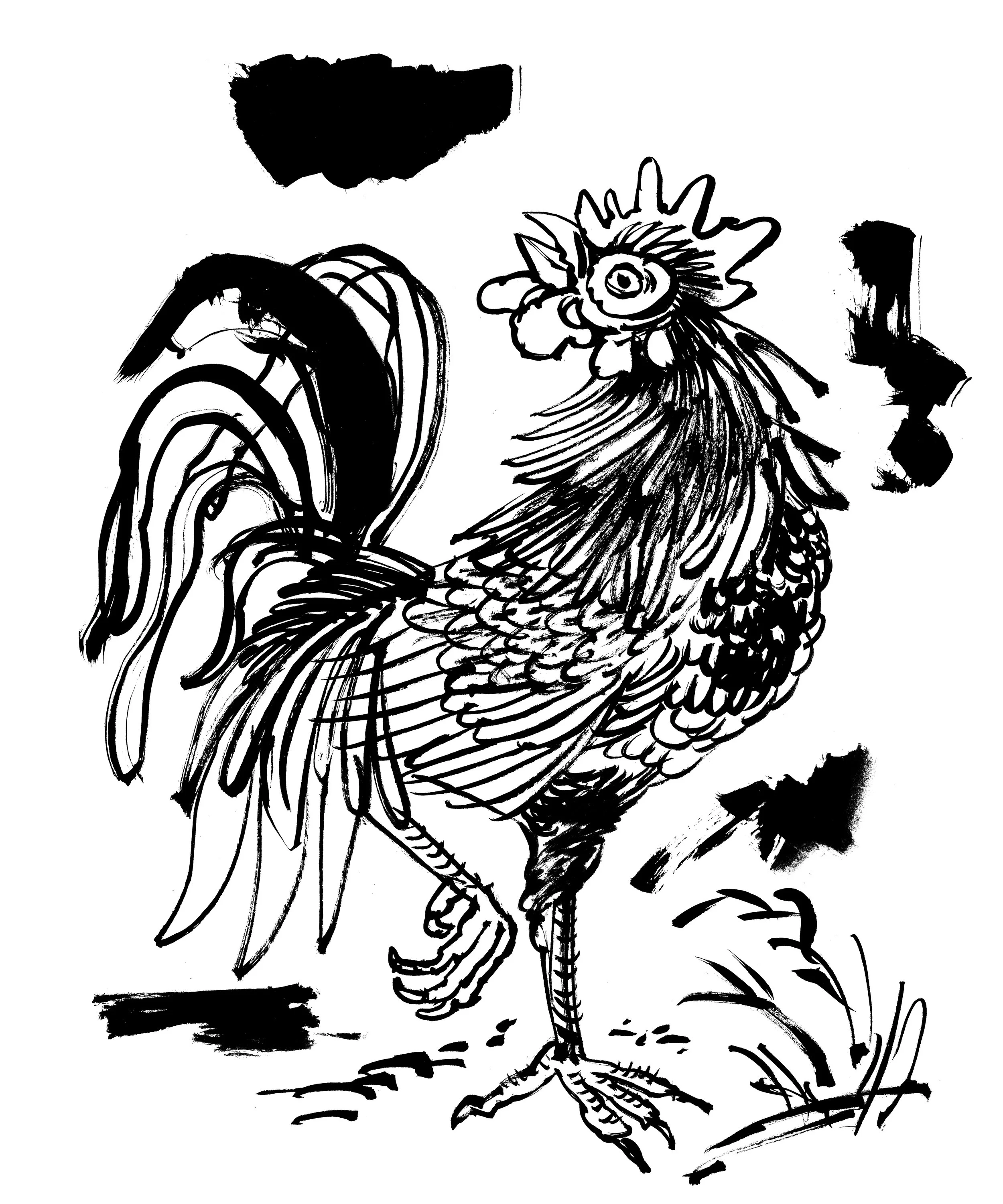 Rooster-Hires2.JPG