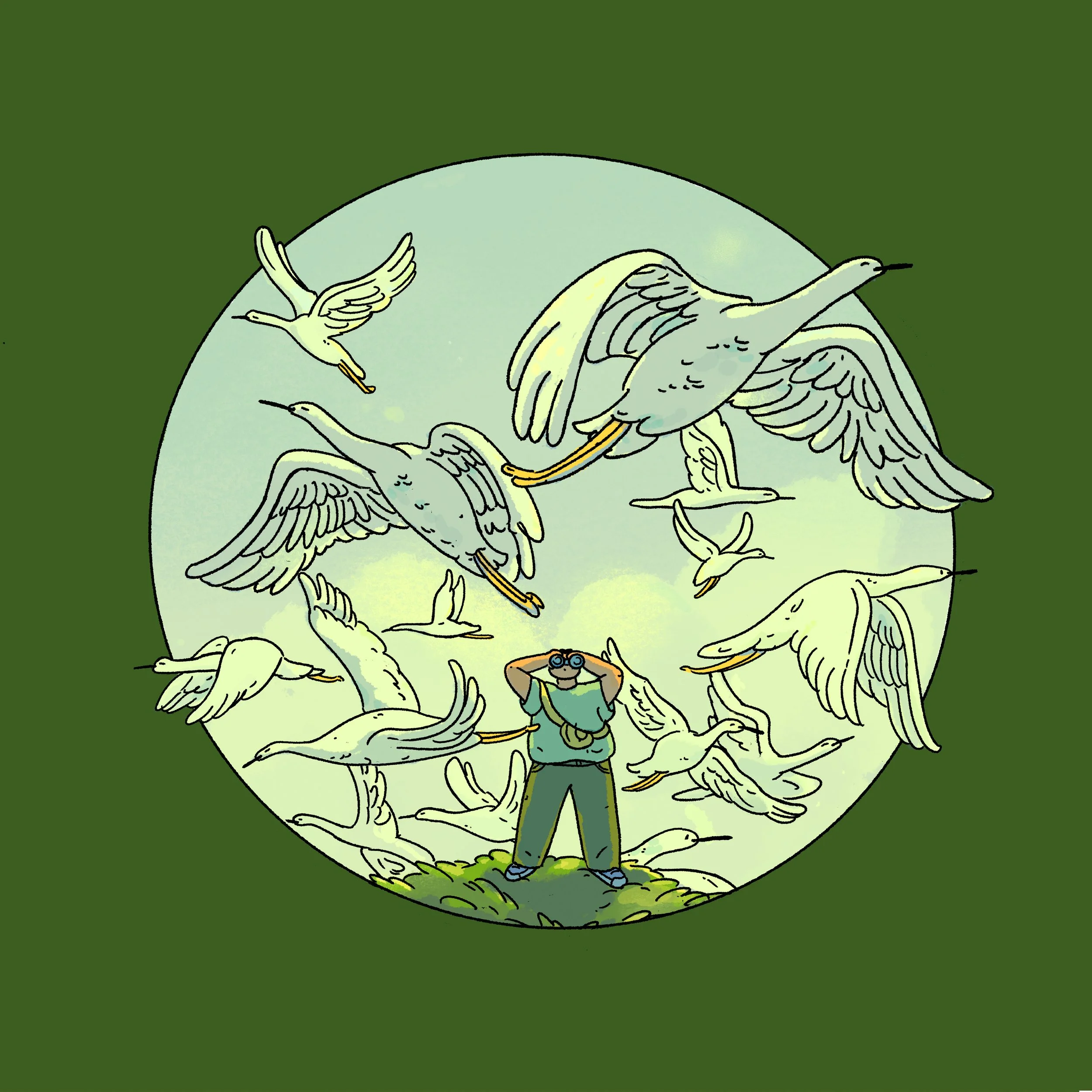 bird-watching DONE.jpg