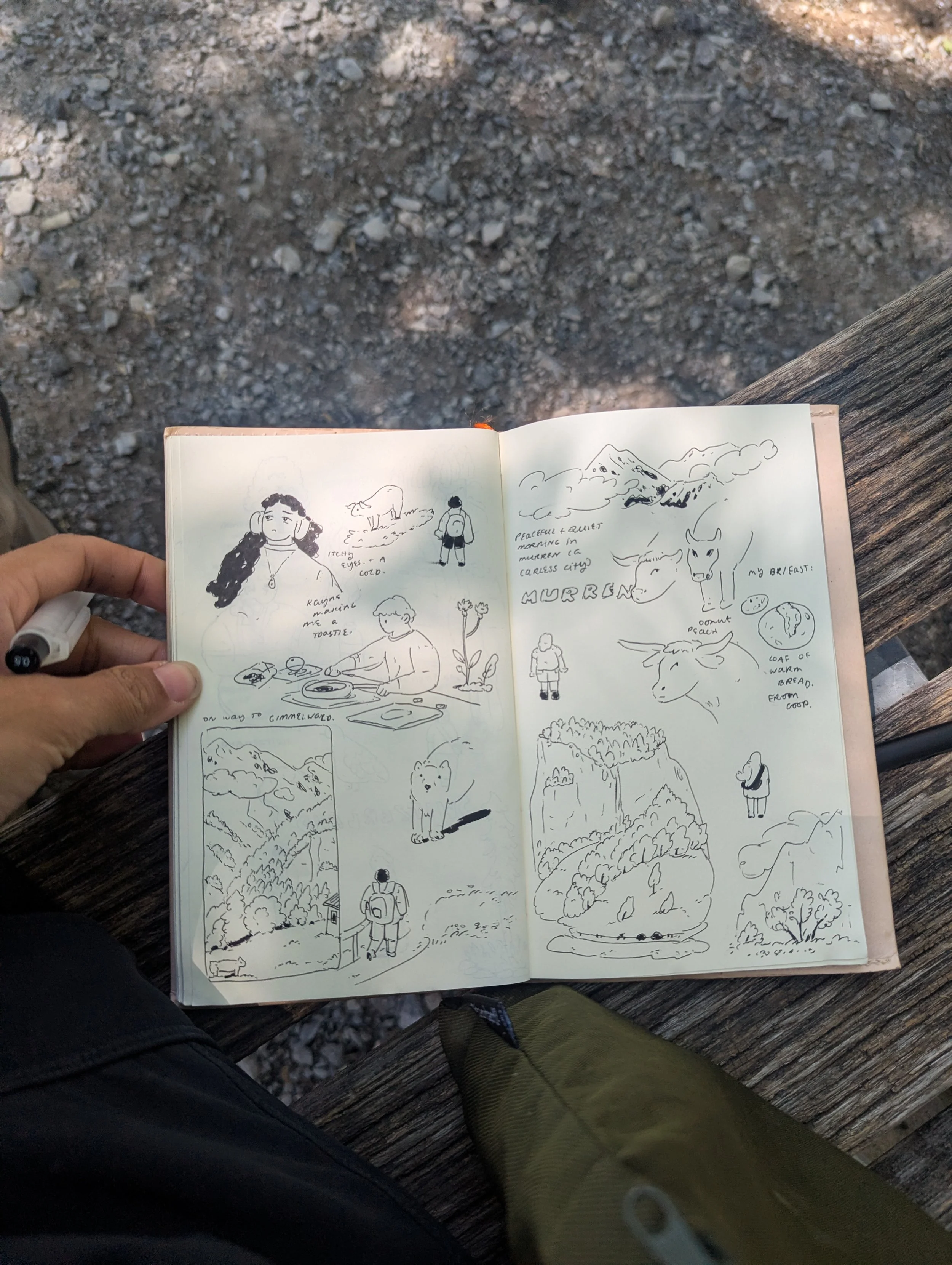 SWISS JOURNAL