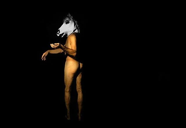 #myanimalfactory #mariebcros