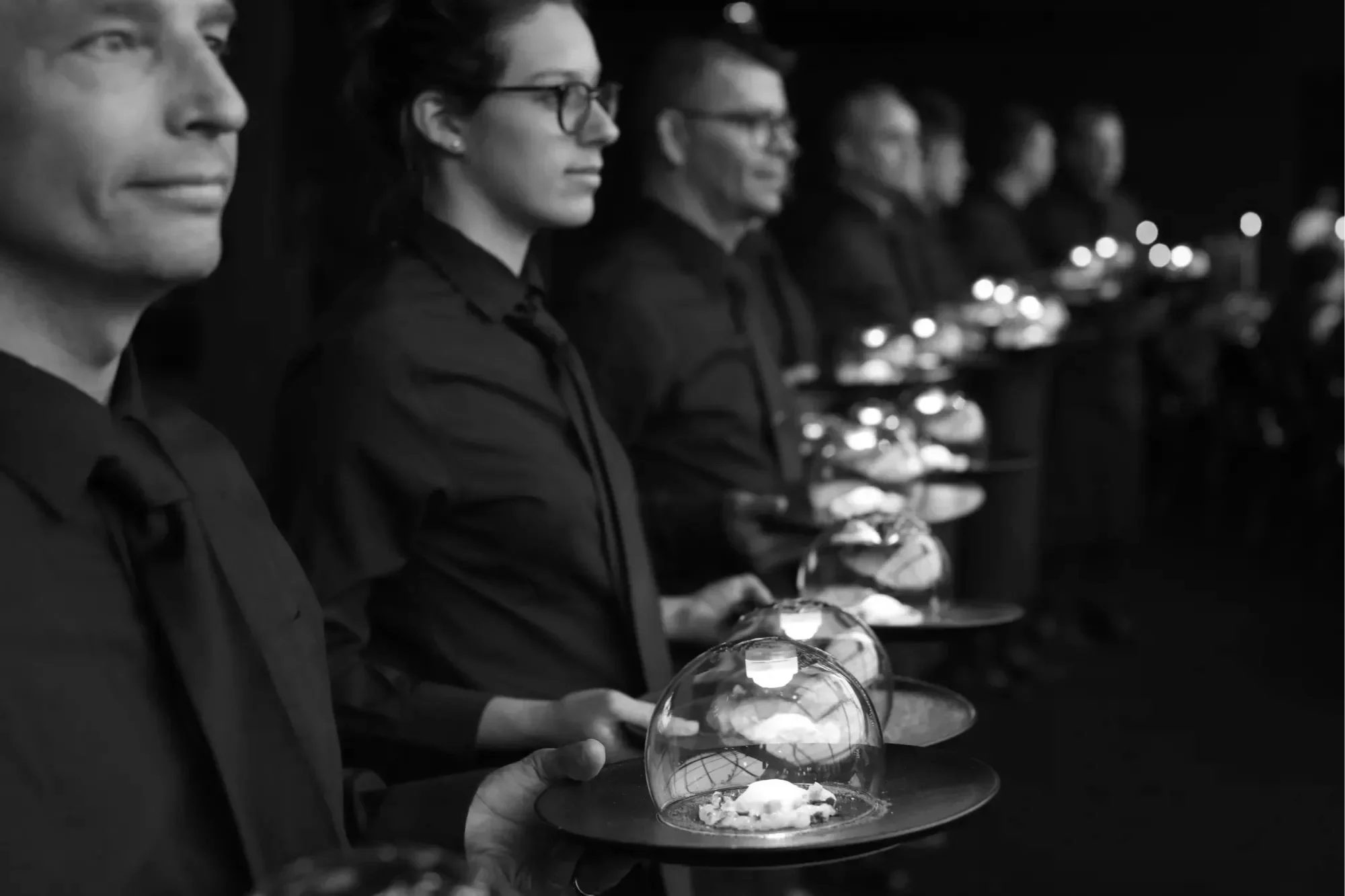 50MC TERRA INFINITUM 