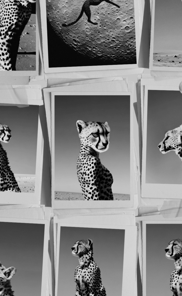 GHEPARDO, CORPS EN EXIL