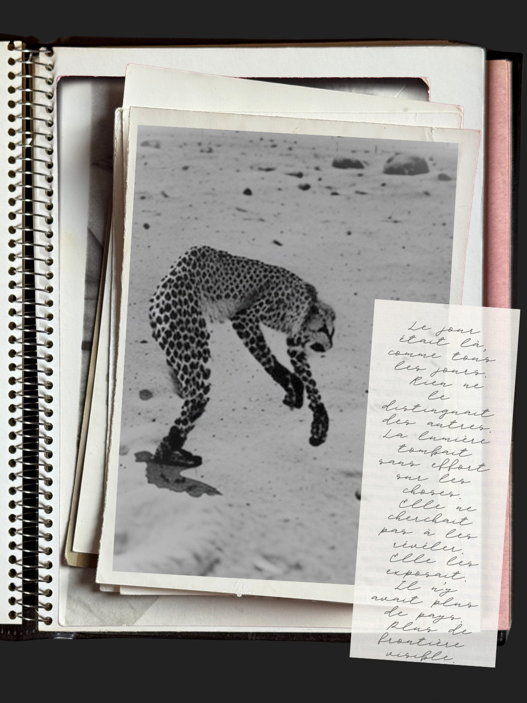 Ghepardo - Corps en exil