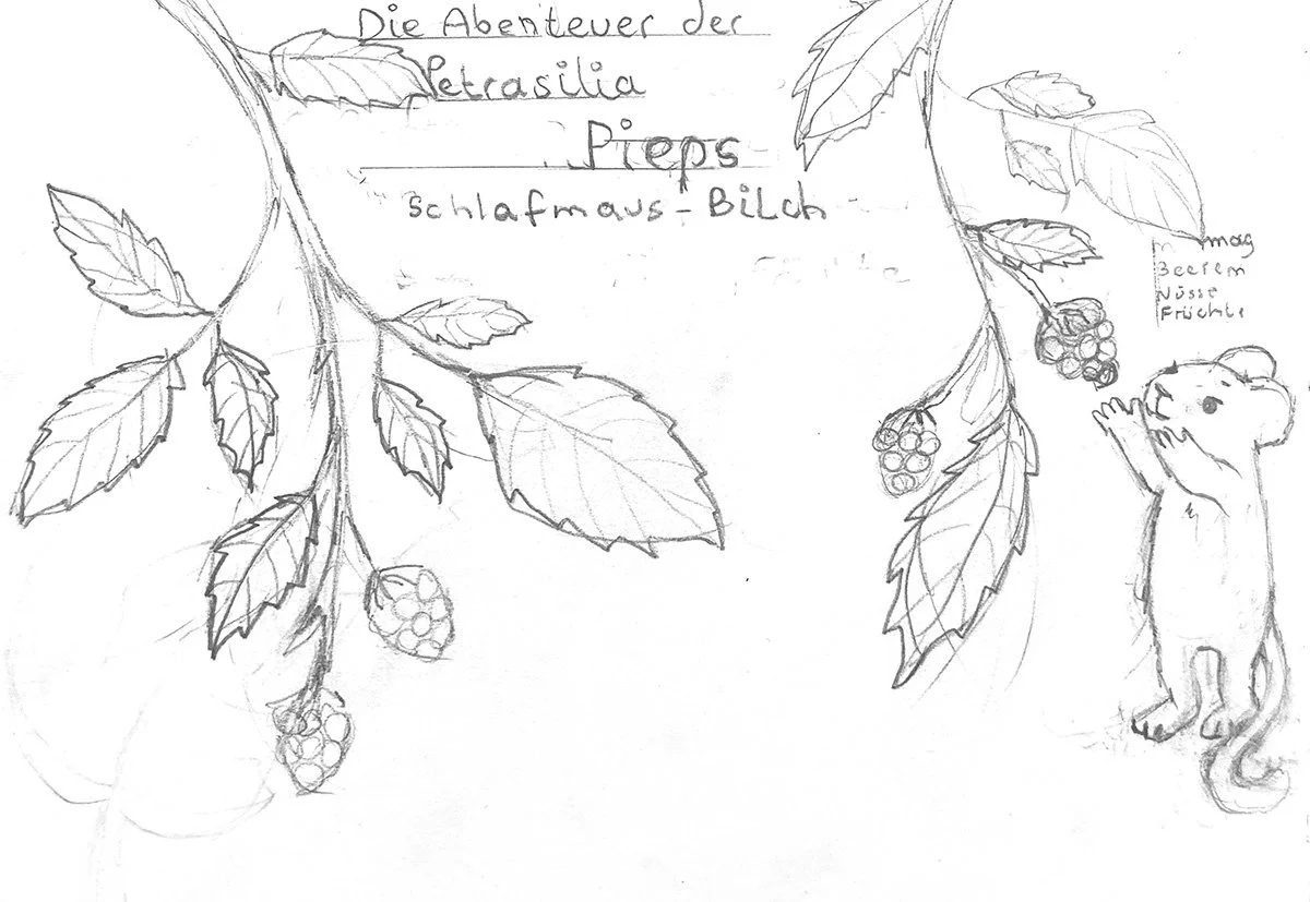 Covermaus6.jpg