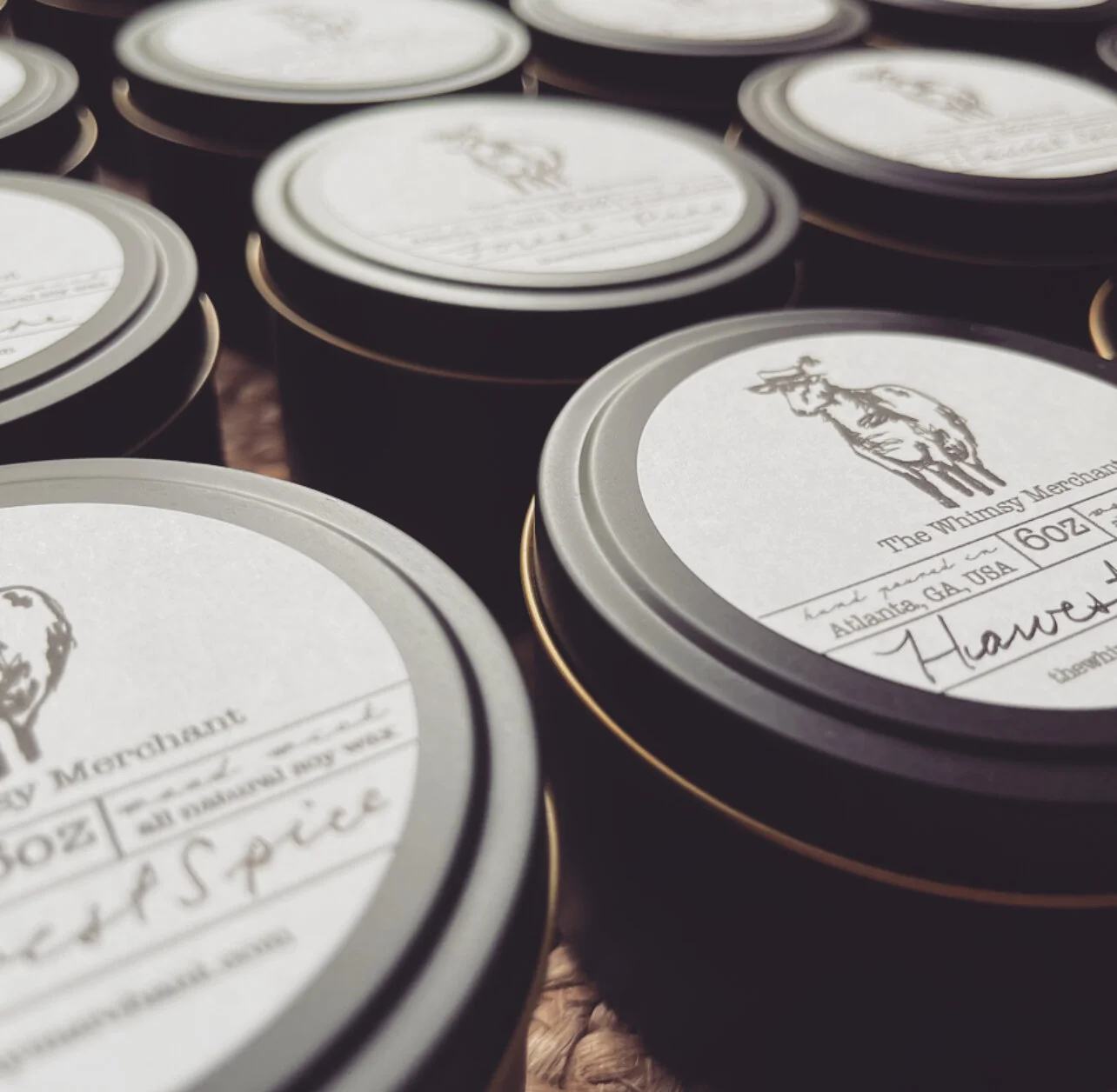 831A1E28-714A-47C5-B655-663494A90AF0