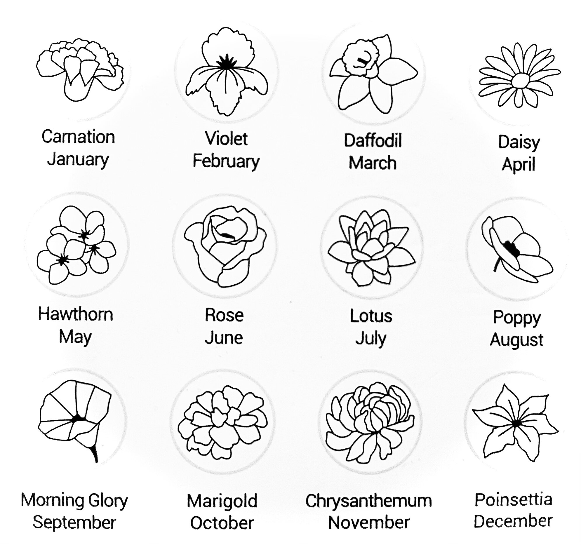 40A834BE-D267-448E-932C-3CB3660EF3AC