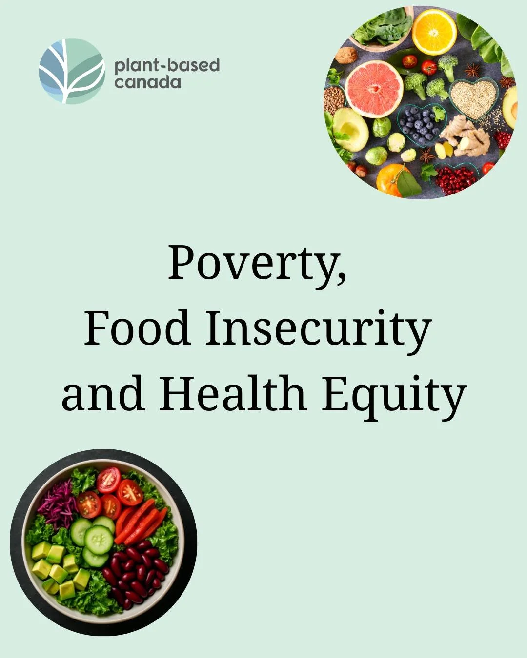 By special guest contributors Parisa Naraghi and Cydney Ho.