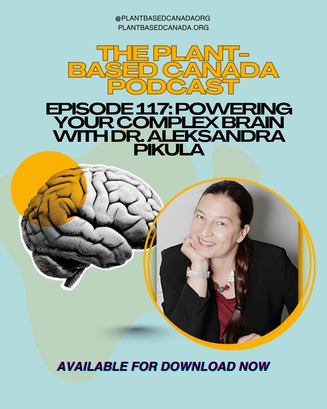 Dr. Aleksandra Pikula is quadruple board-certified in Medicine, Neurology, Vascular Neurology, and Lifestyle Medicine with Neurology and Vascular Neurology Fellowship and postdoctoral training at Boston University, Harvard University, and the Framing