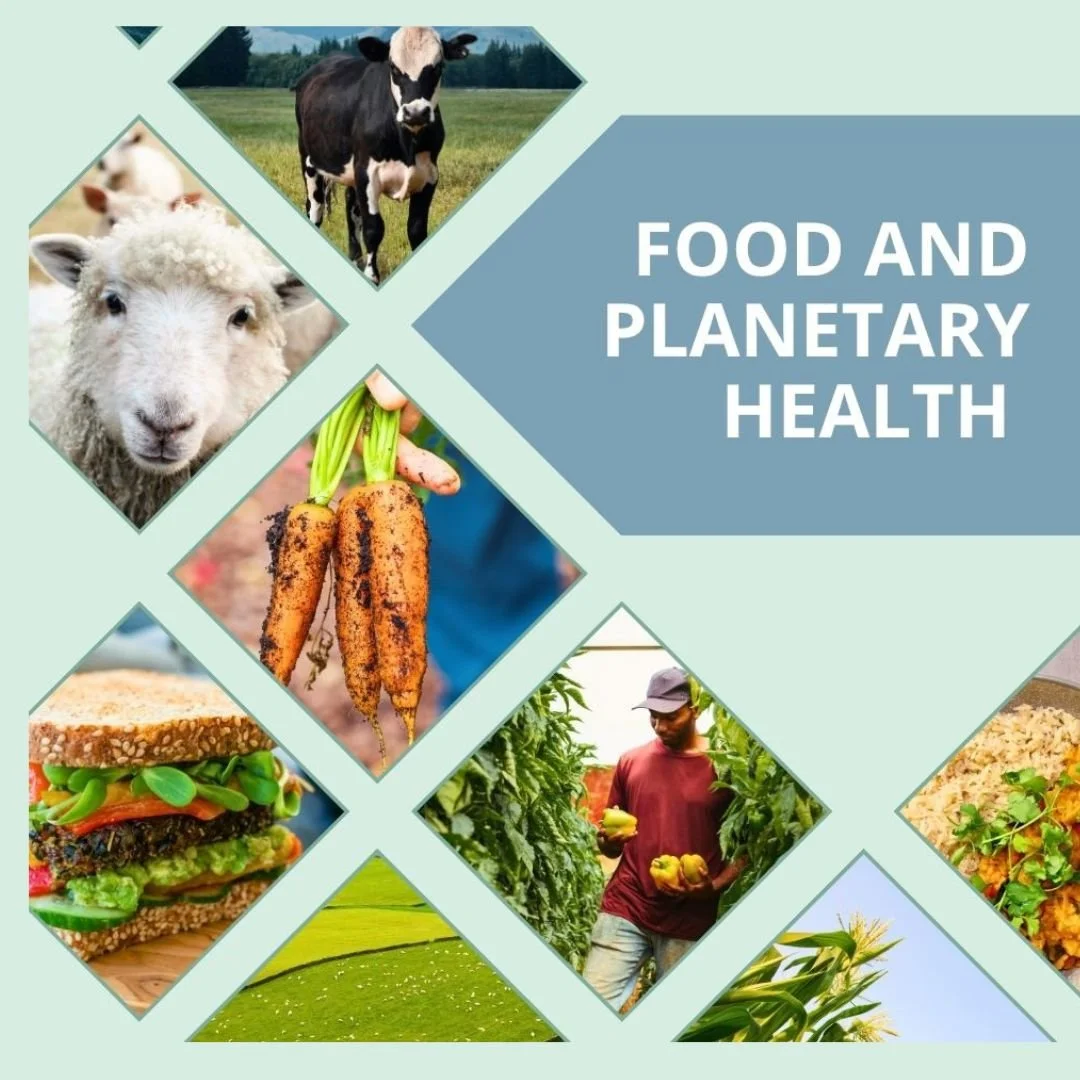 plant-based-canada-front-cover-food-planetary-health