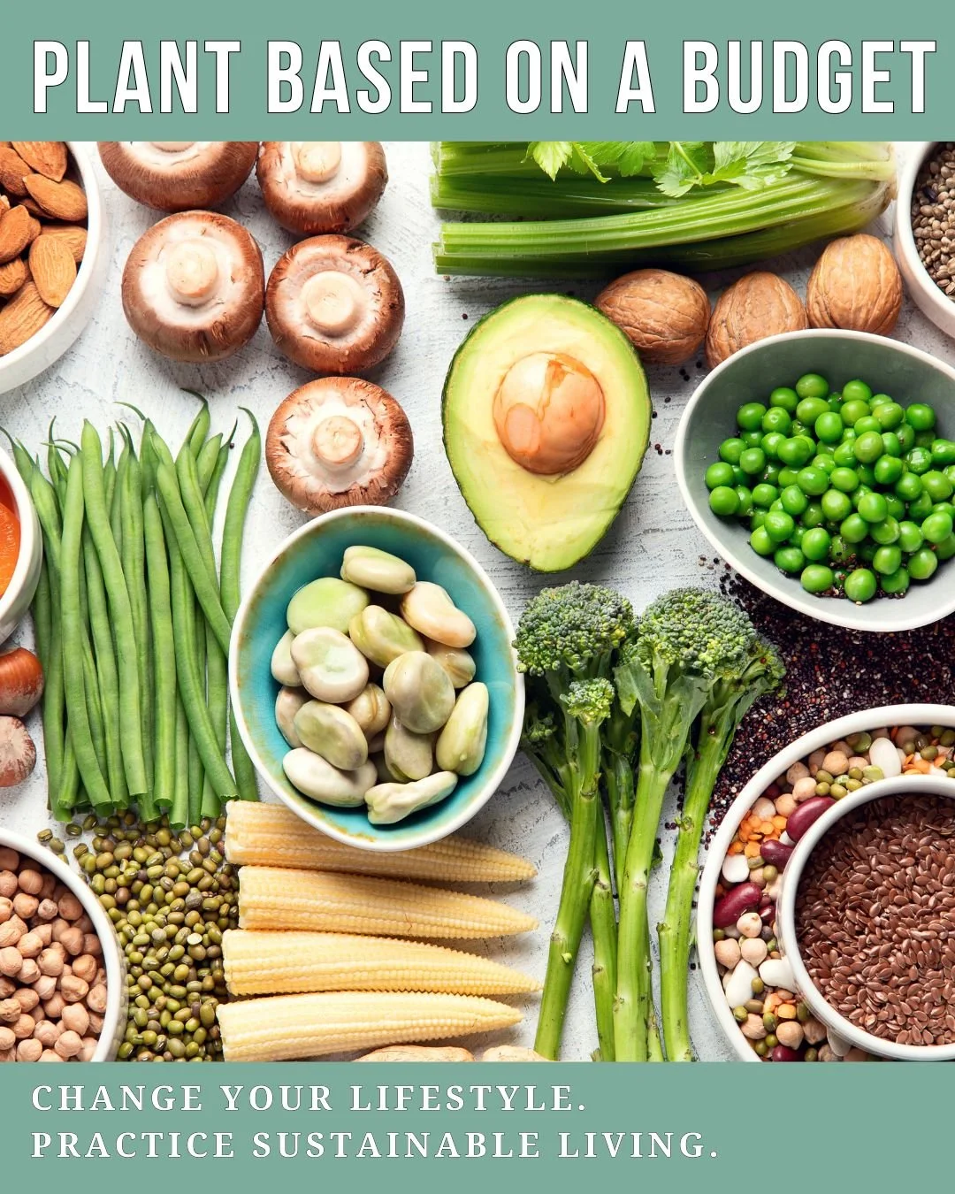plant-based-canada-meal-budget-cover