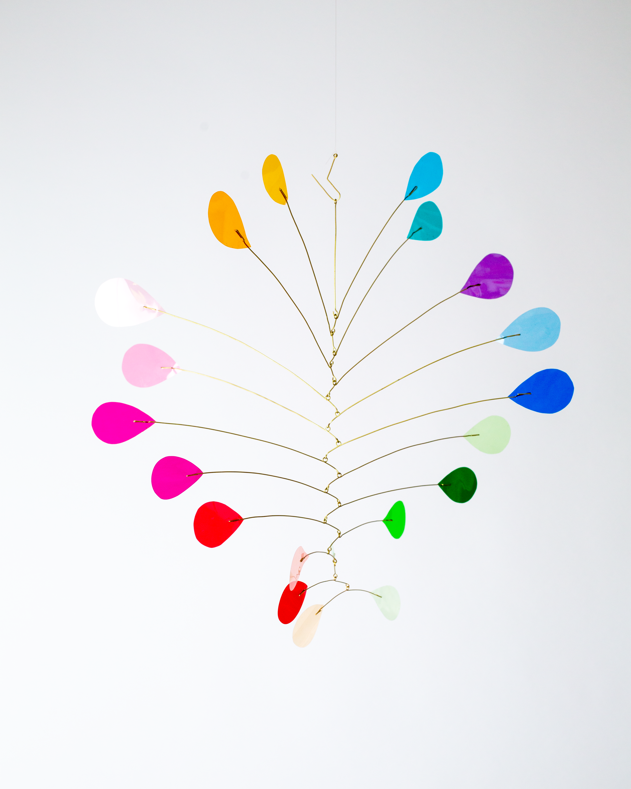 Rainbow_2026.png