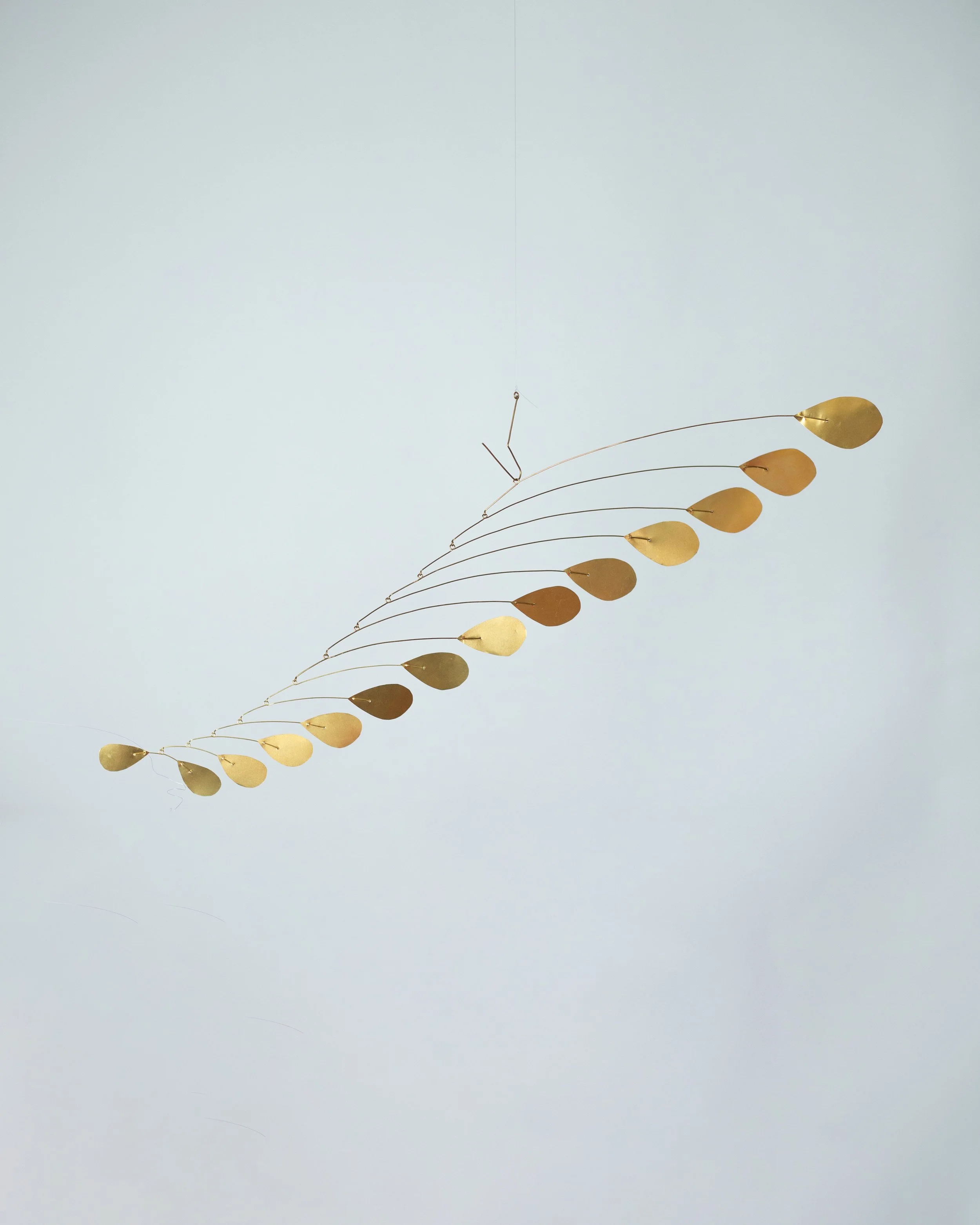 Stones of Cevennes 2025-16.jpg