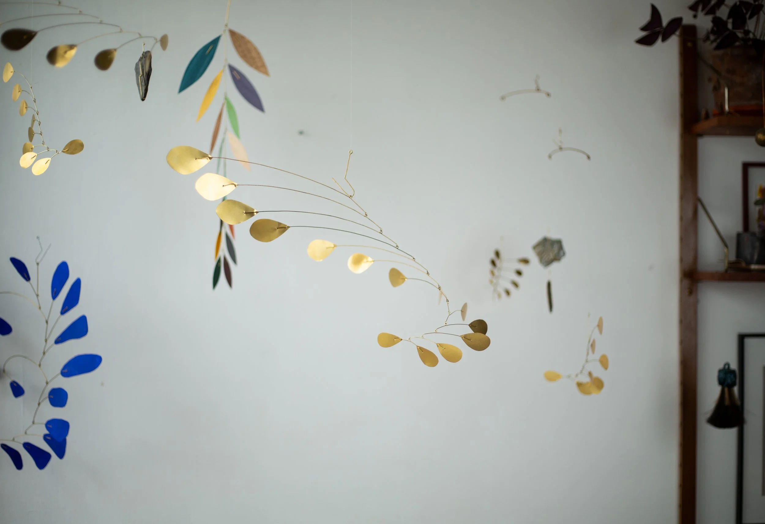 Stones of Cevennes 2025-15.jpg