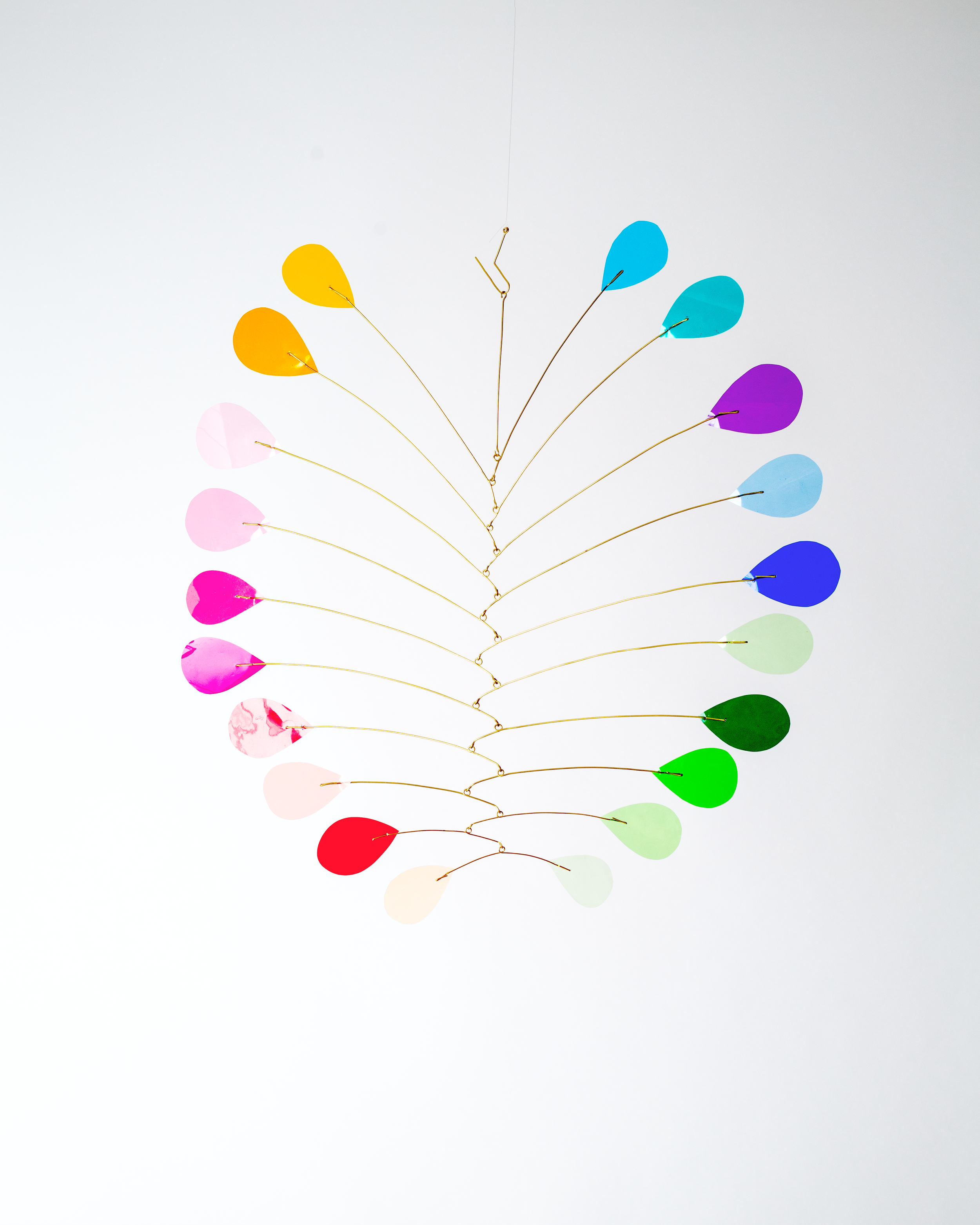 Rainbow_2_2026.png