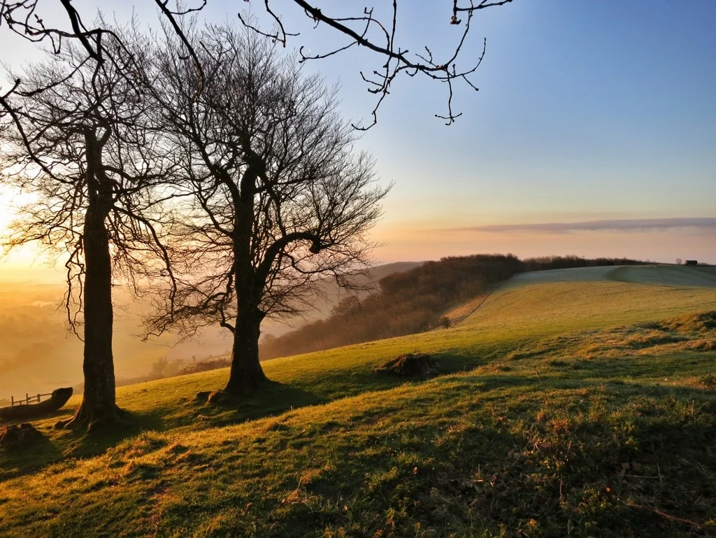 South Downs Sunrise