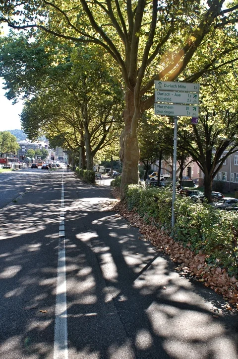 Sorry for the Swearing!