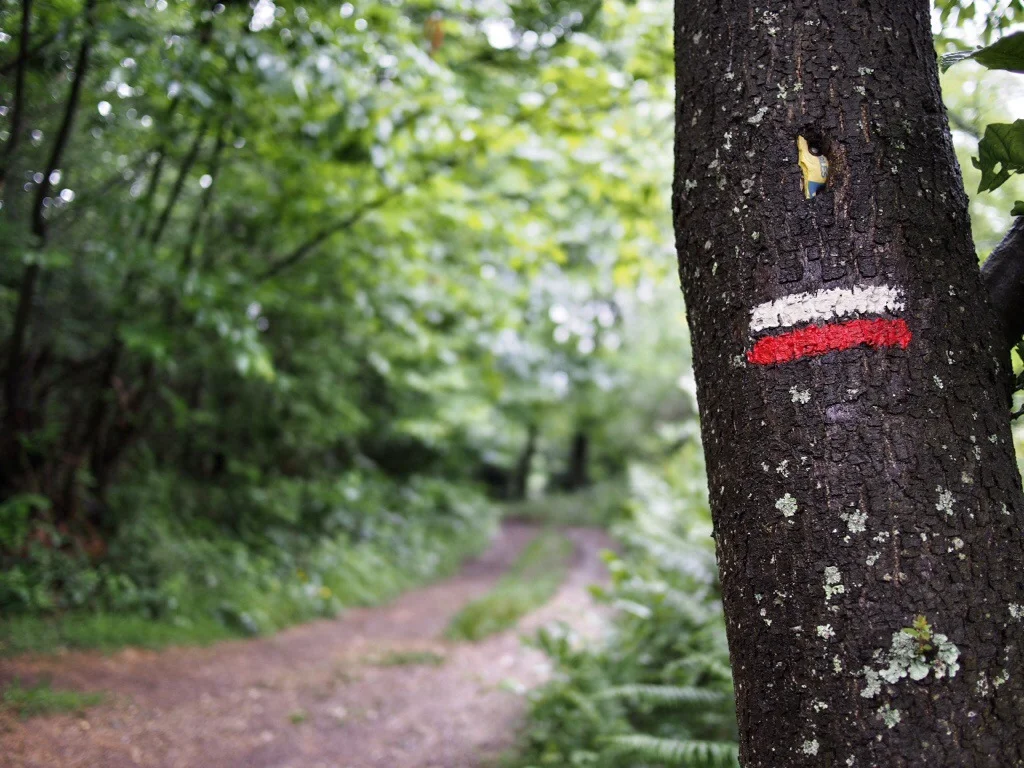 El Camino, Part 2: Mud, Sweat and Gears