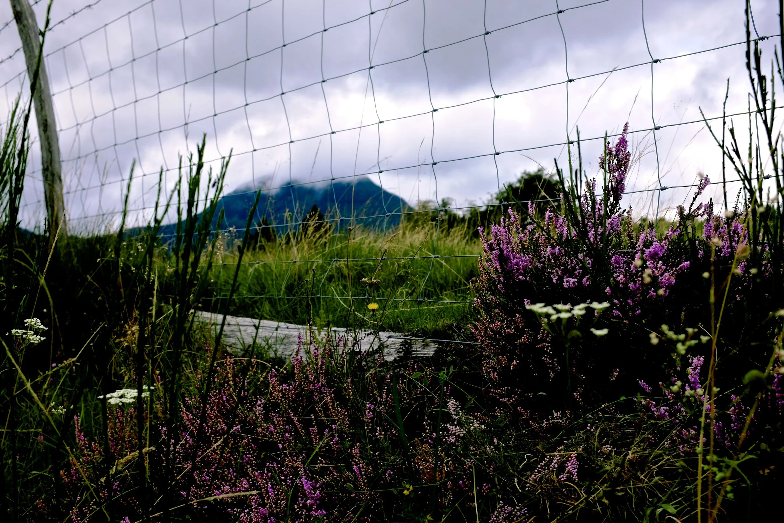 The One Where Things Get a Bit More Enjoyable...