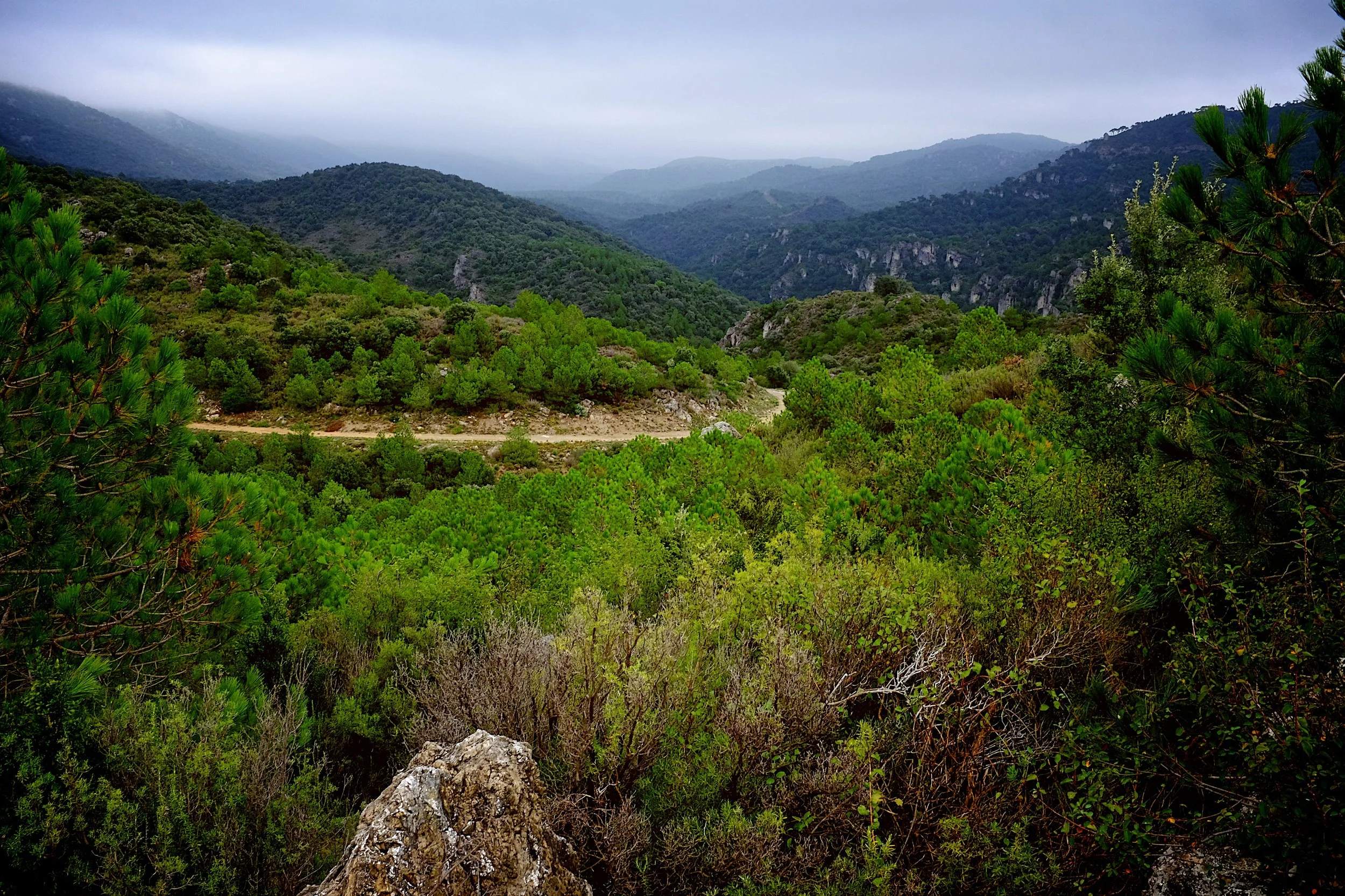 A Reminder That You Never Regret Going for a Bike Ride...