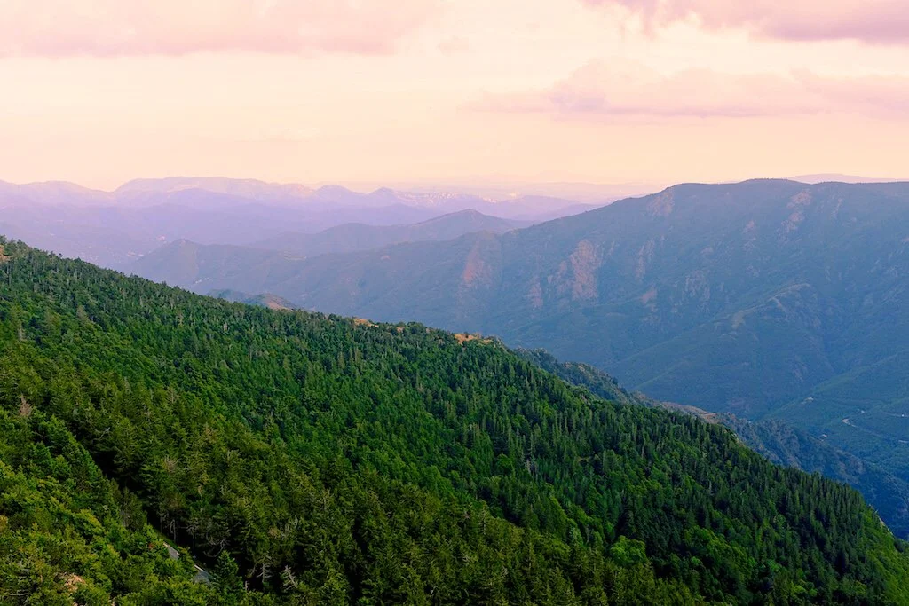 A Tale of Two (Many) Gorges