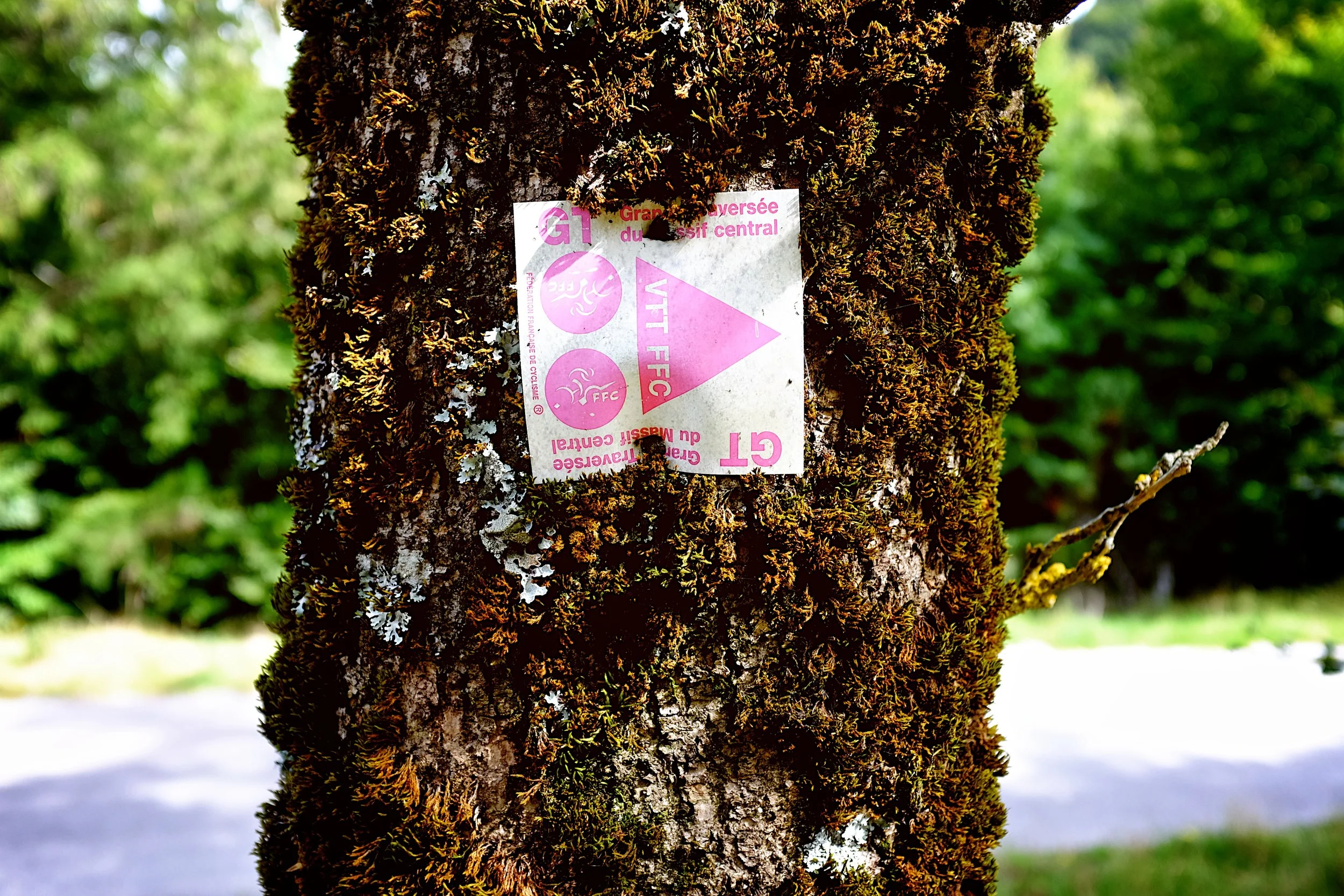 6 Tips for Crossing the Massif Central by Mountain Bike