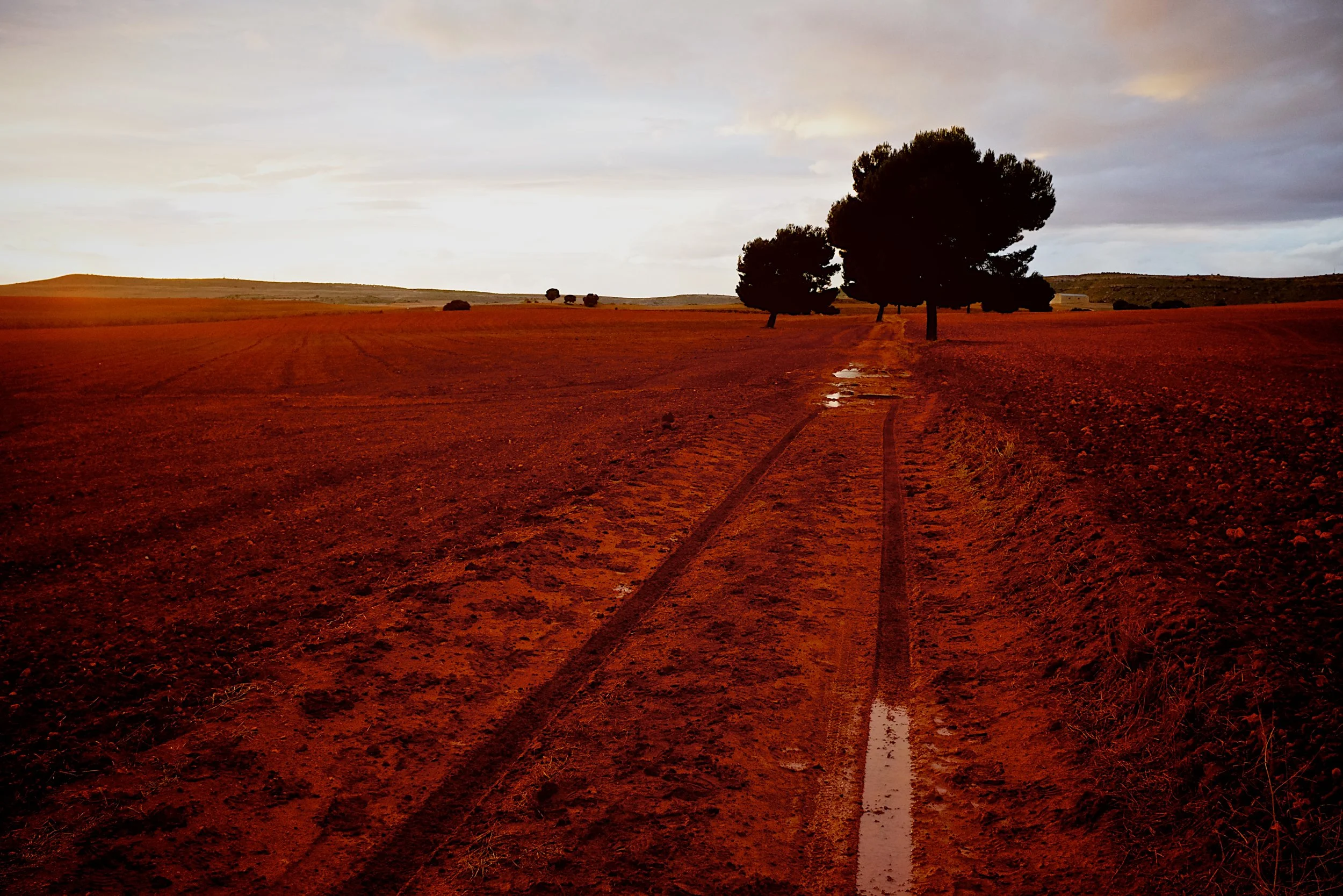 The Wind in Spain Blows Mainly in my Face