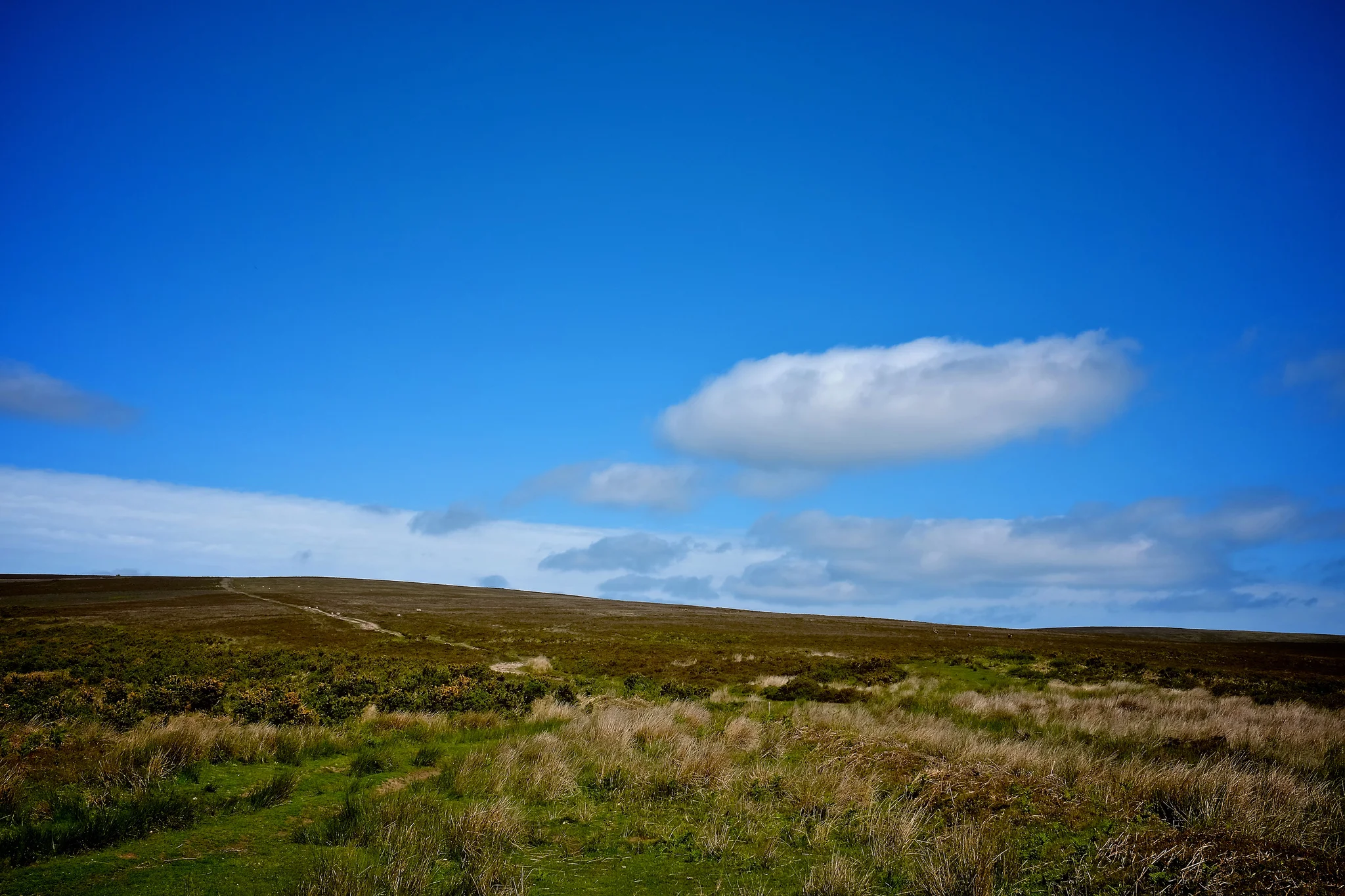 Across the Moors