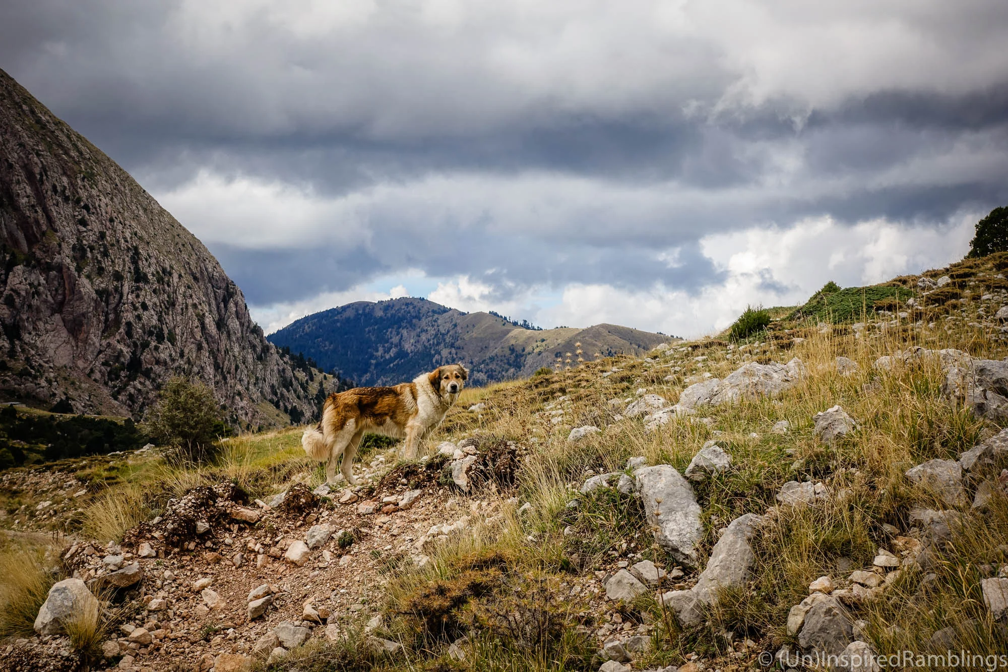 To the Gulf of Corinth