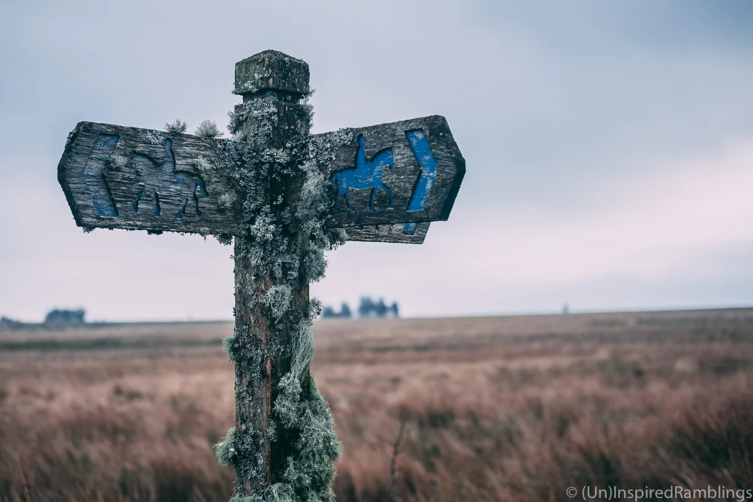 Which Way Now?