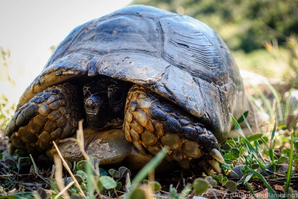 Bikepacking-Greece-Corinth-48