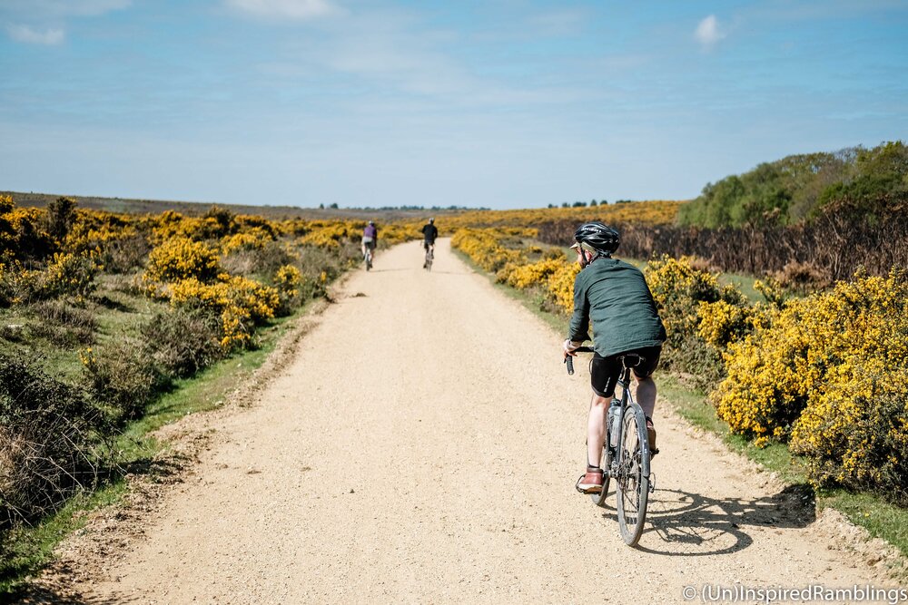 Brother In The Wild 2017 New Forest Yellow Gorse Cyclist