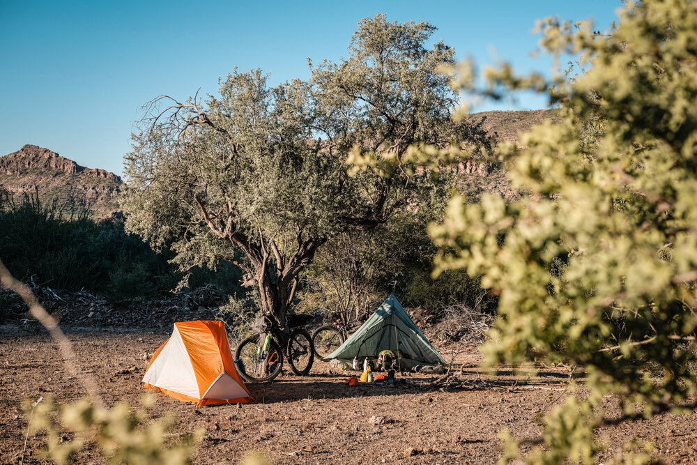 Bikepacking Baja Divide Mexico Camping Desert Tree ZPacks Altaplex