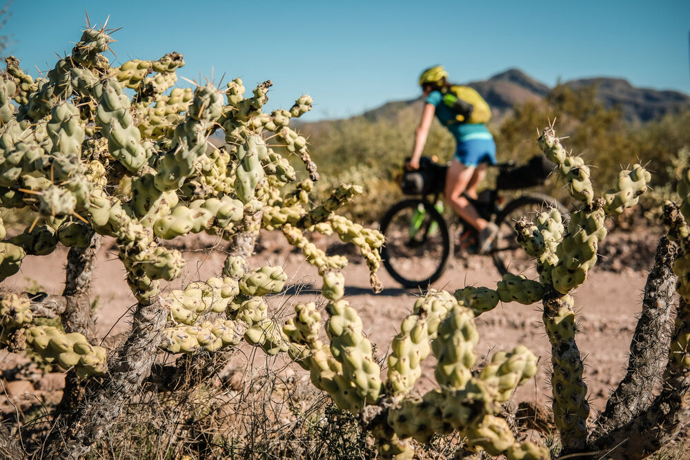 Bikepacking Baja Divide Mexico Desert Cactus Thorns Tubeless Tyres