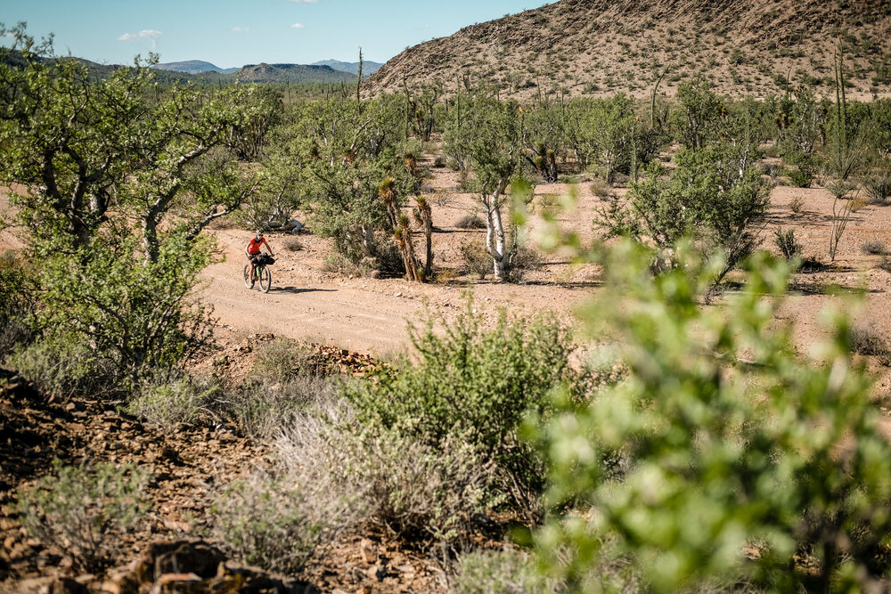 Bikepacking Baja Divide Mexico Riding Track Desert Life