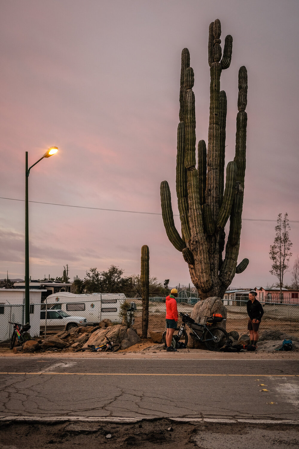 Bikepacking Baja Divide Mexico Desert Cardon Cactus Sunset