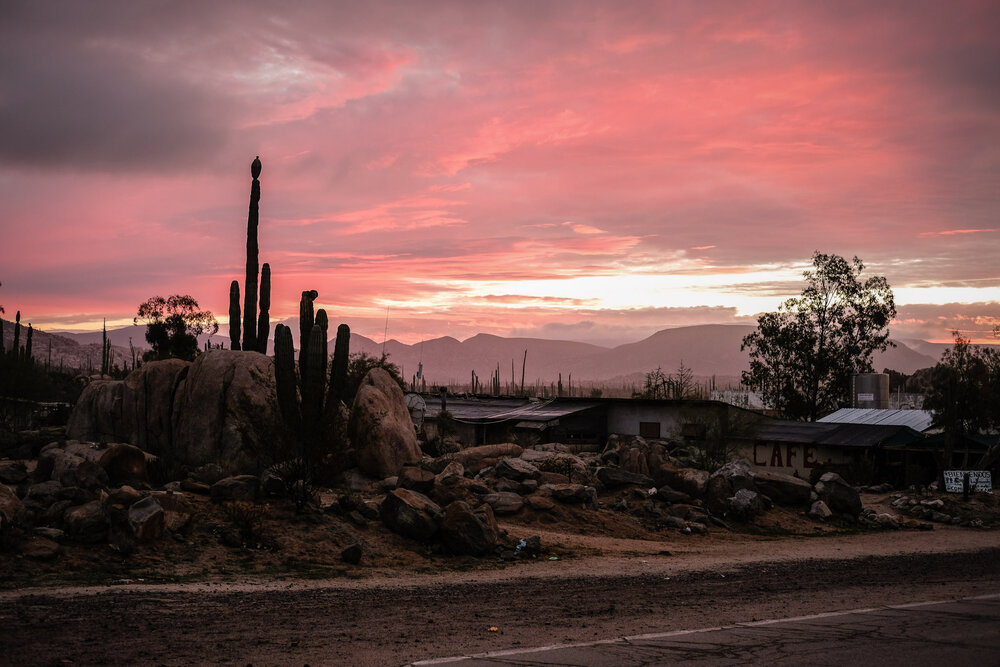 Bikepacking Baja Divide Mexico Desert Saguaro Cactus Sunset