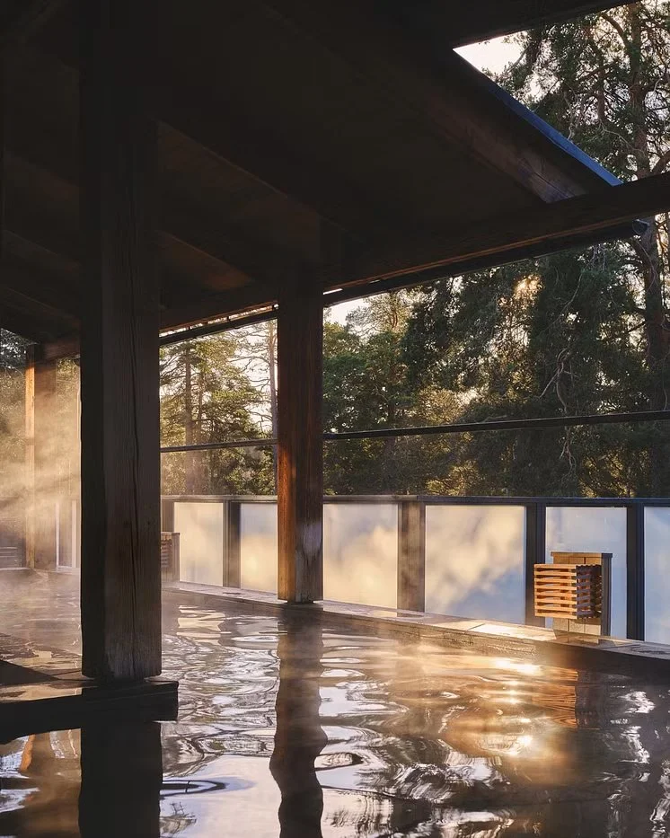 Yasuragi - Hot Springs.jpeg