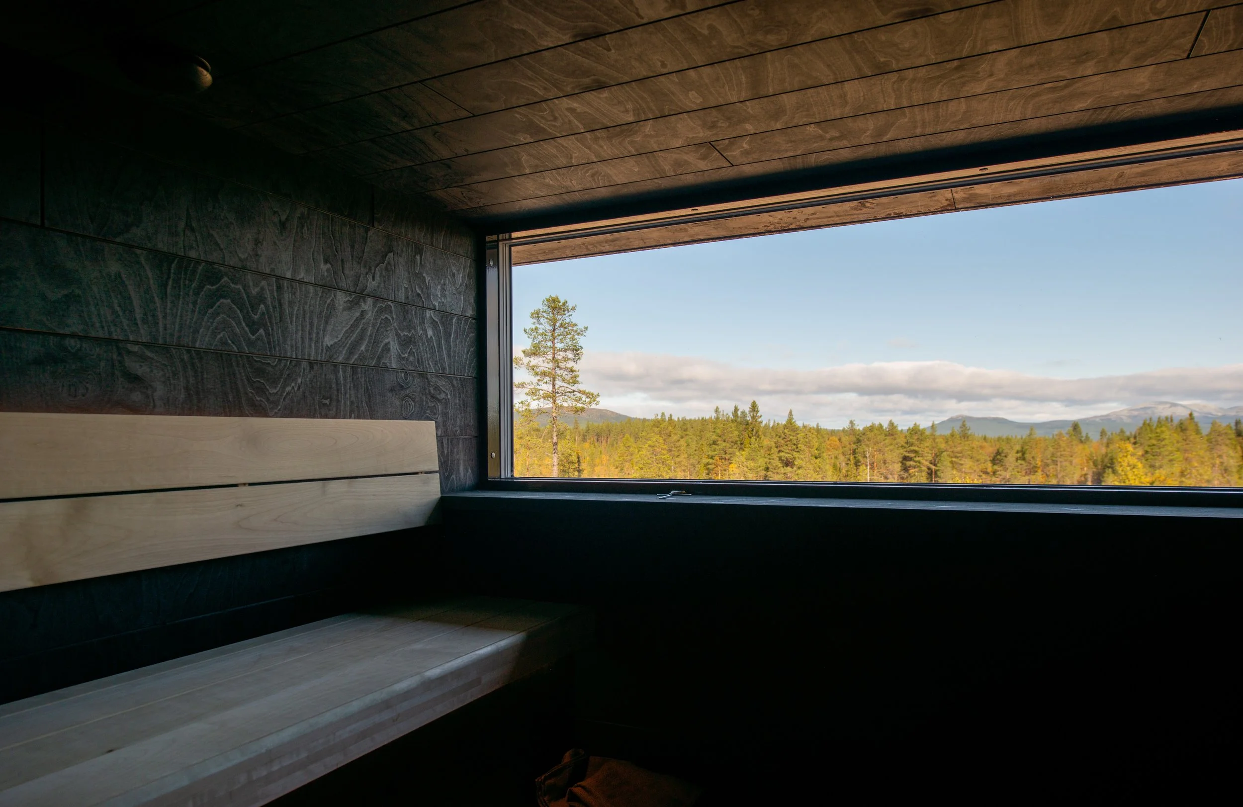 Sauna window