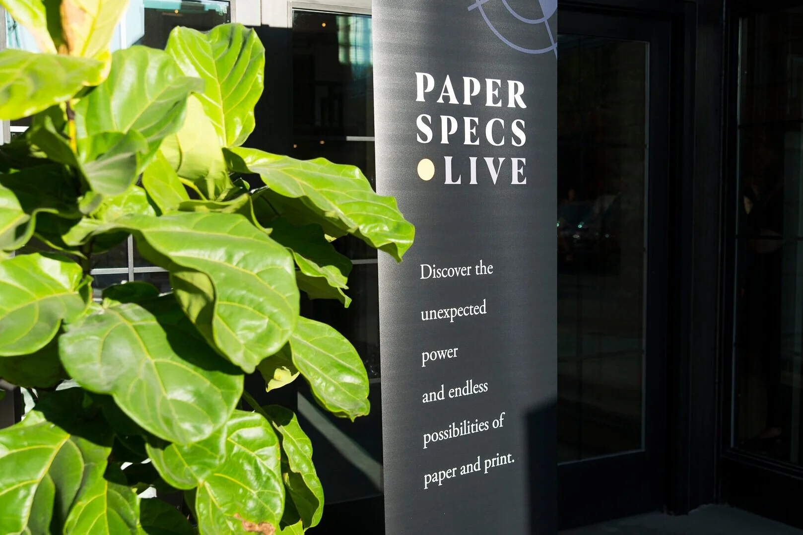 Paper Specs Live: 9.18.19