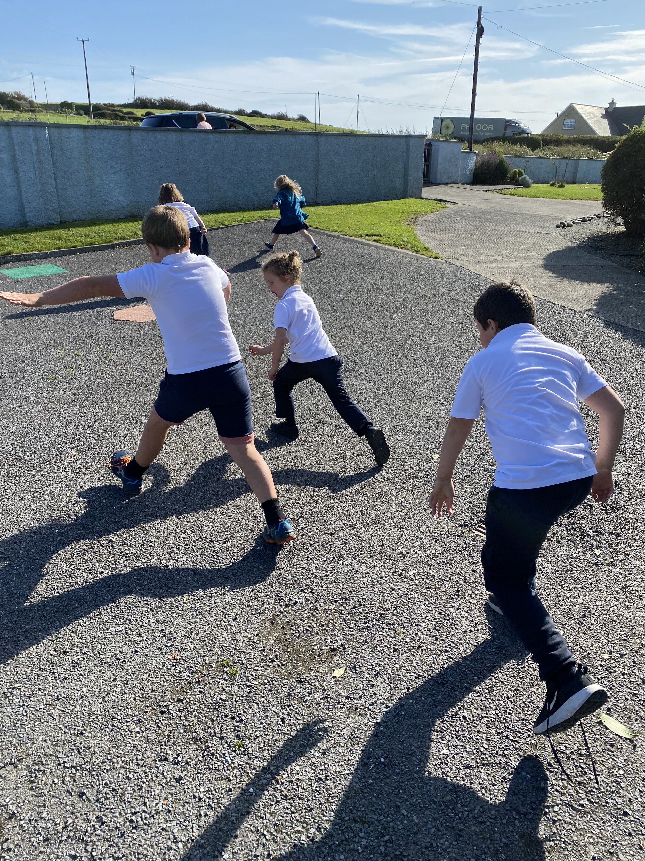 Maths Week and National Tree Day