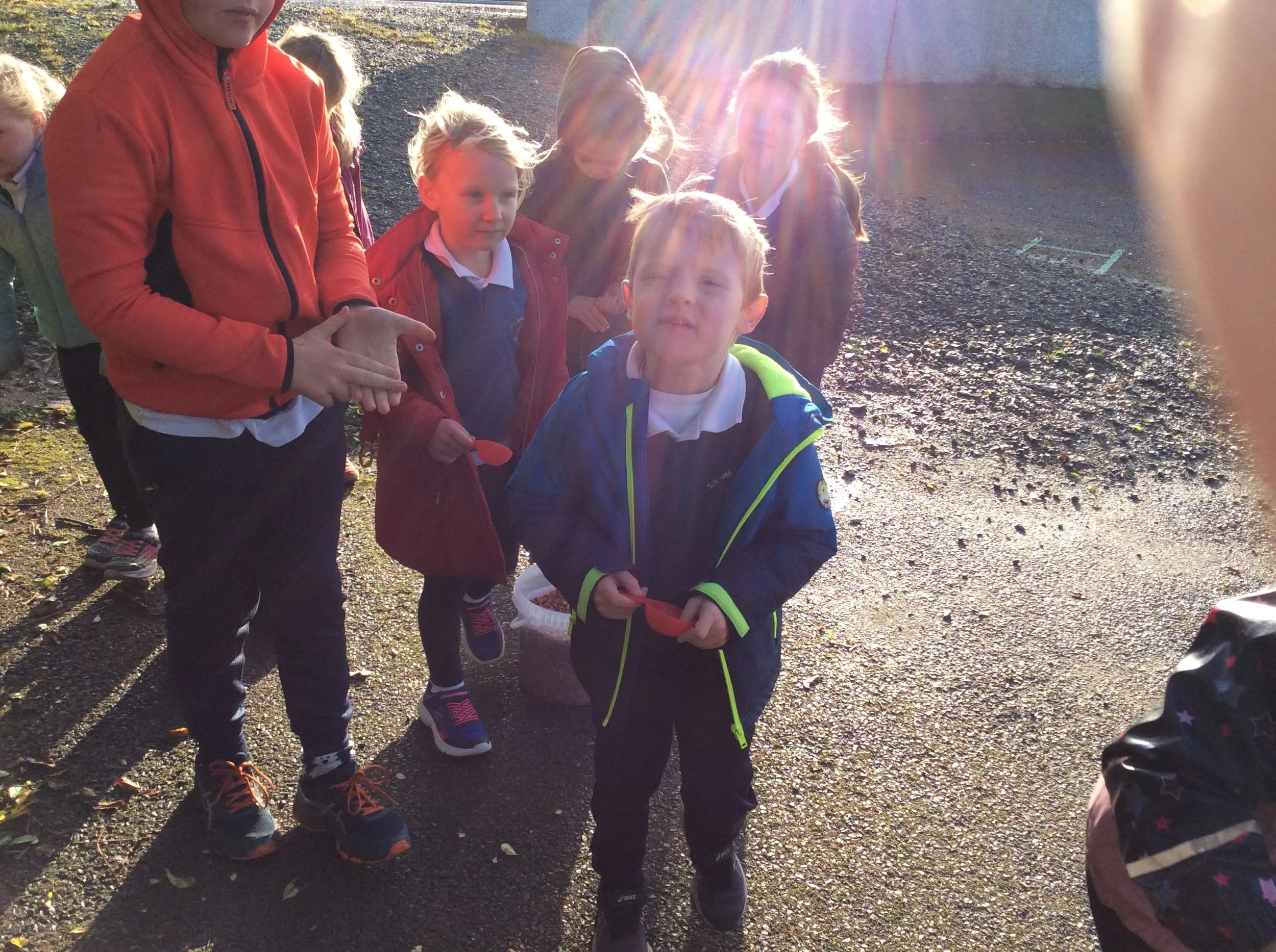 Feeding the birds at school