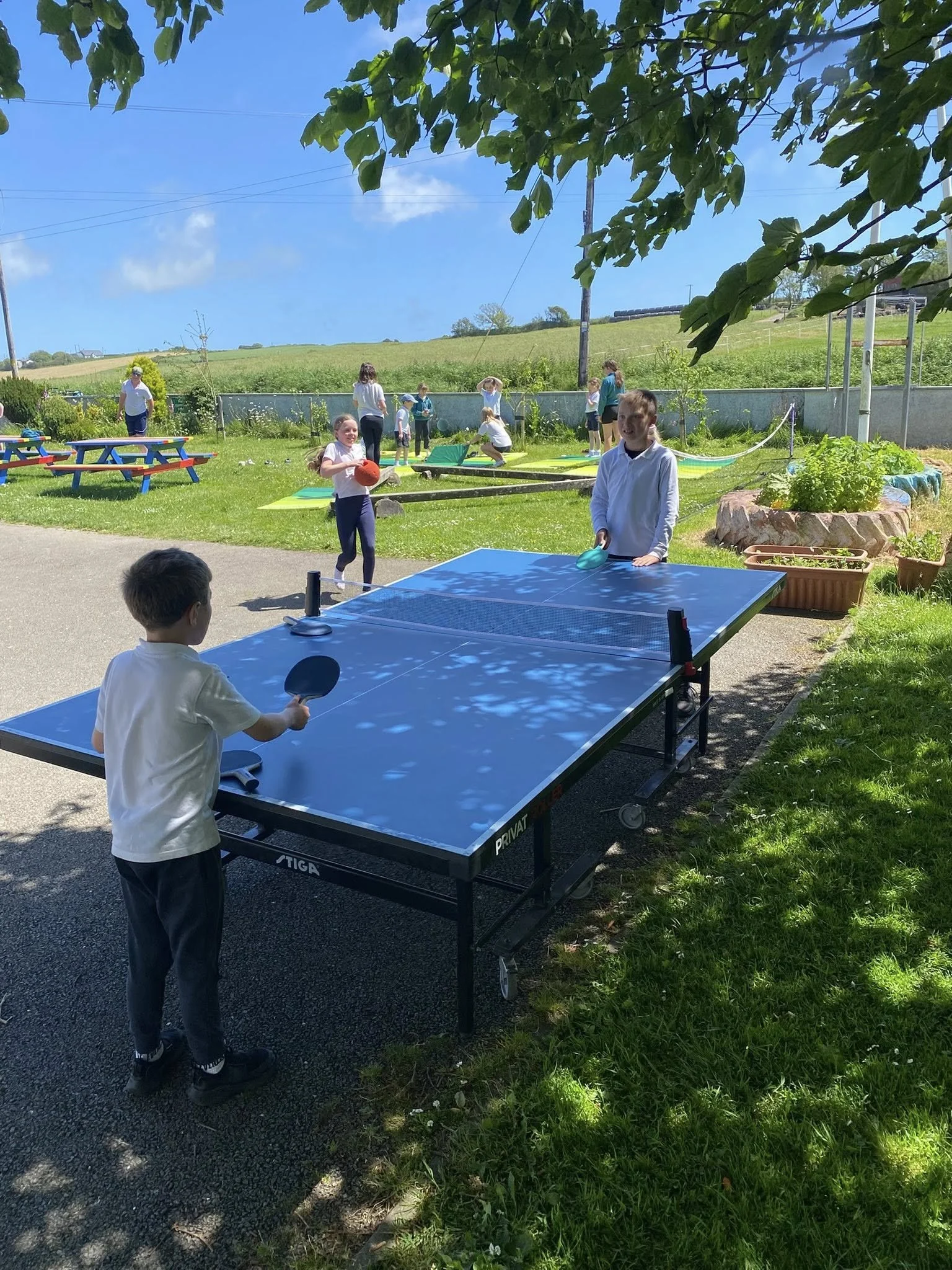 Table Tennis