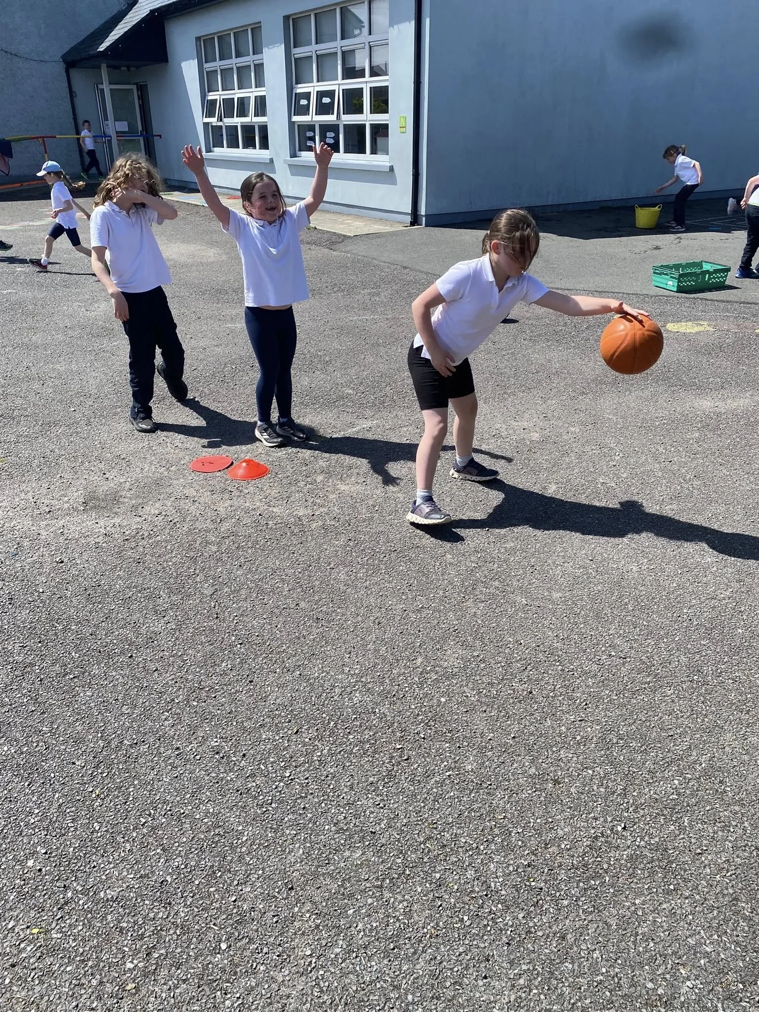 Basketball Fun