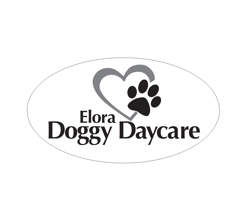 Elora Doggy Daycare