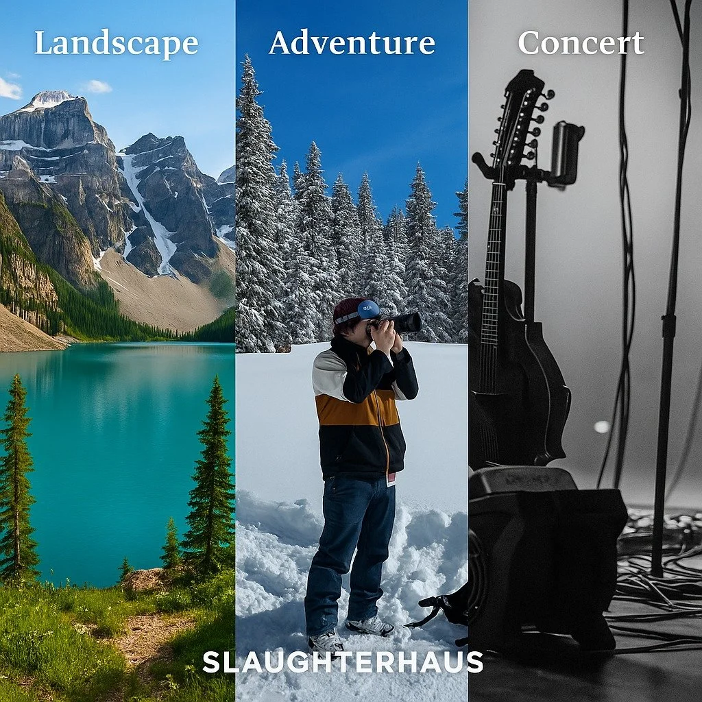 Three worlds, one lens: which is yours?

From epic mountain landscapes to the quiet drama of a snowy forest, and the pulse of a live music stage&mdash;every style tells a different story. Each moment demands its own vision, and that's where I come in