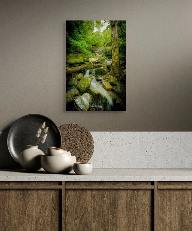 under the left twin 16x24 NF.jpg